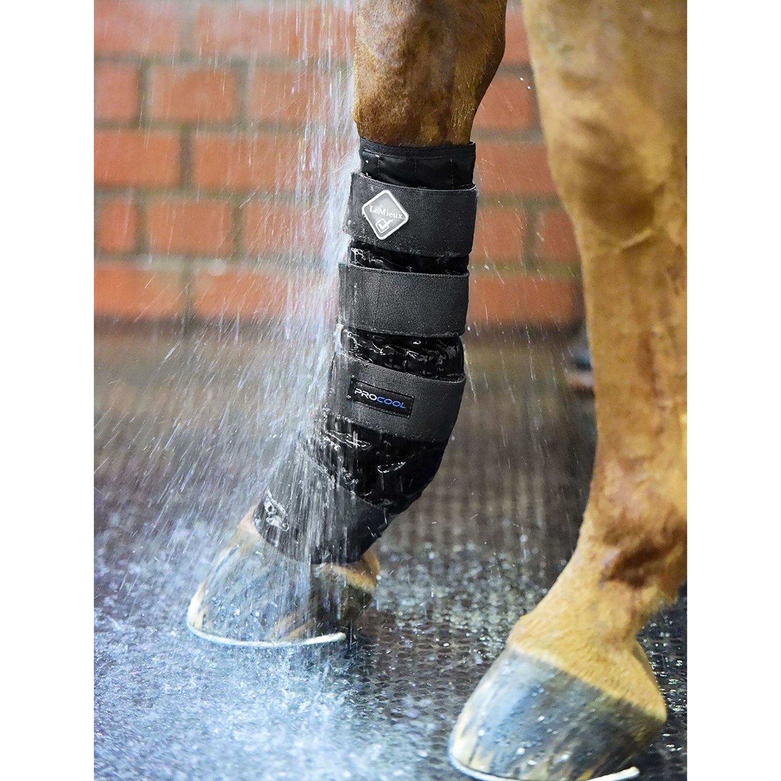 LeMieux Cold Water -suojat Leg & Hoof Protection