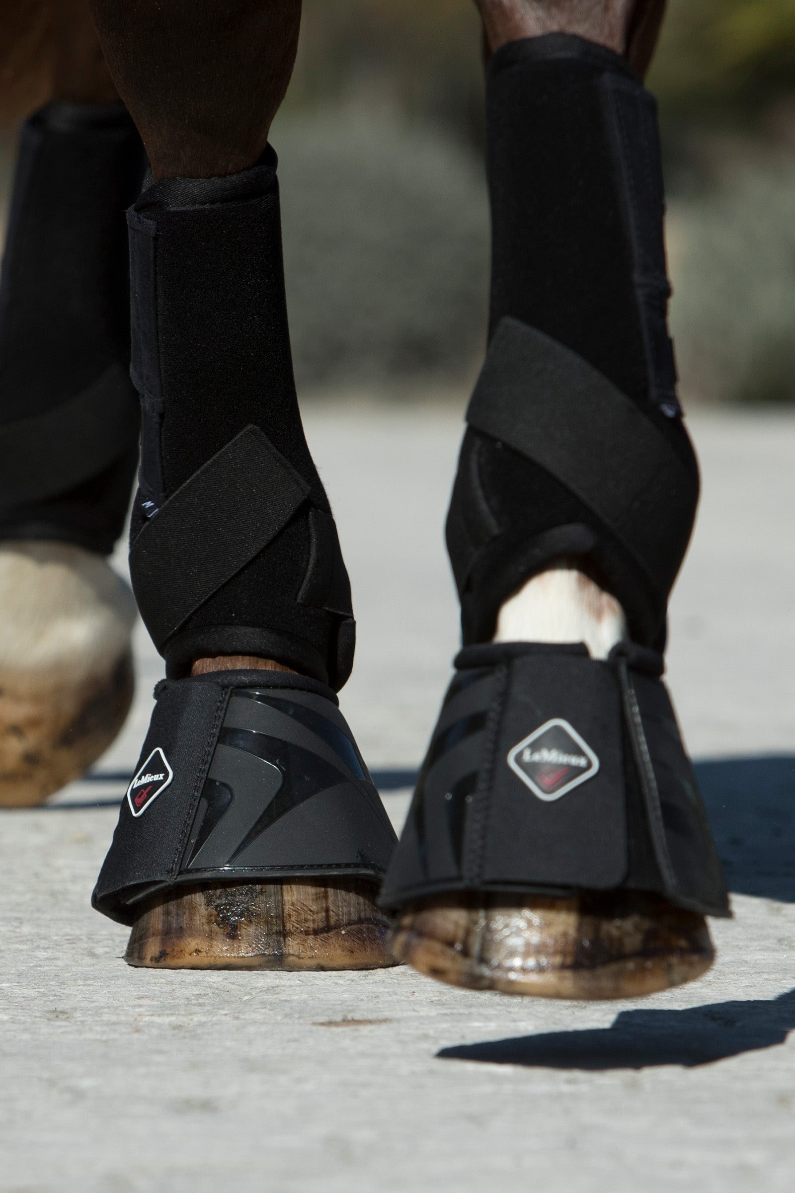LeMieux ProShell -putsit Leg Protection & Hoof Protection for Horses
