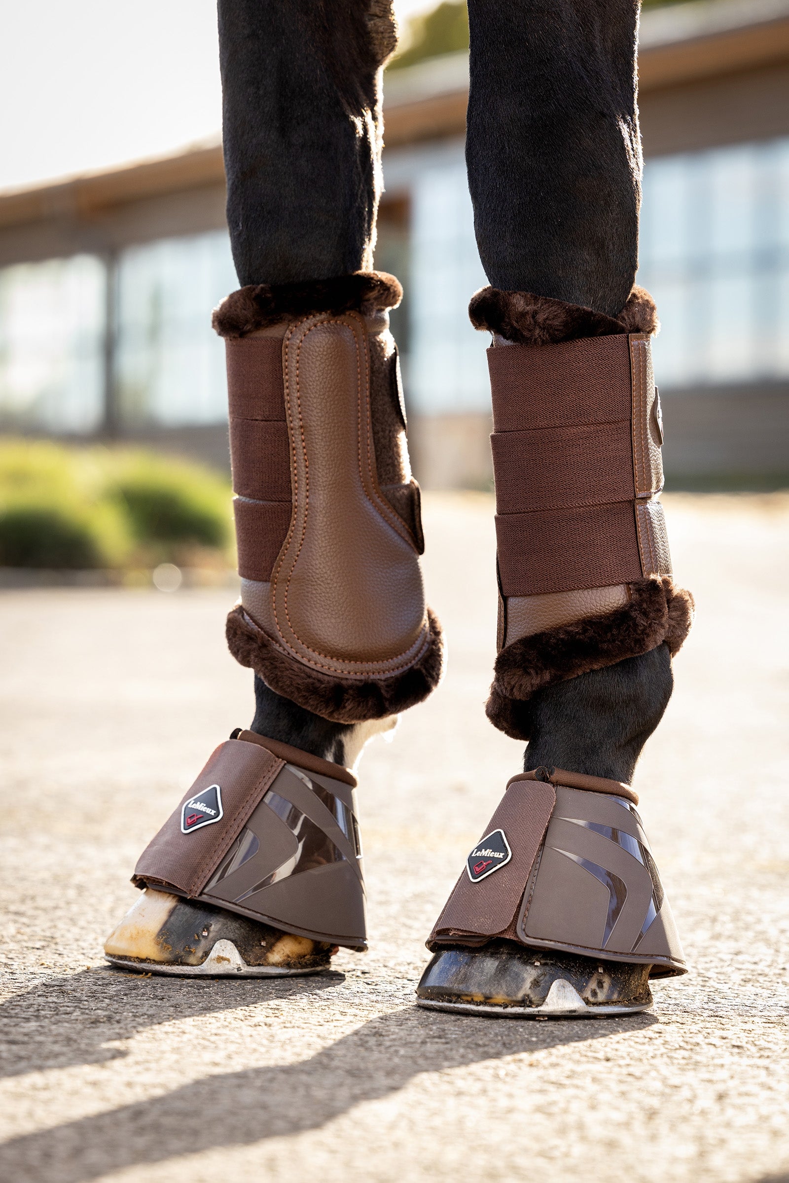 LeMieux ProShell -putsit Leg Protection & Hoof Protection for Horses