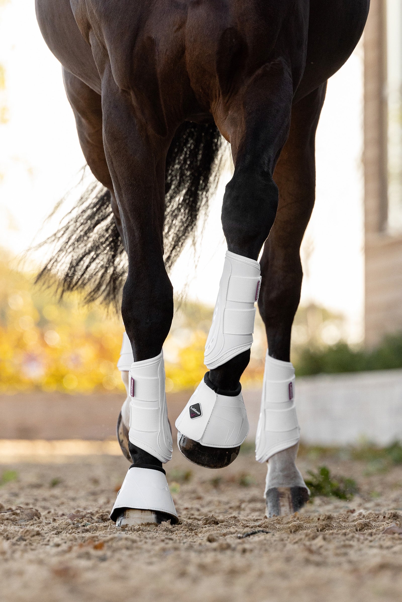 LeMieux ProShell -putsit Leg Protection & Hoof Protection for Horses