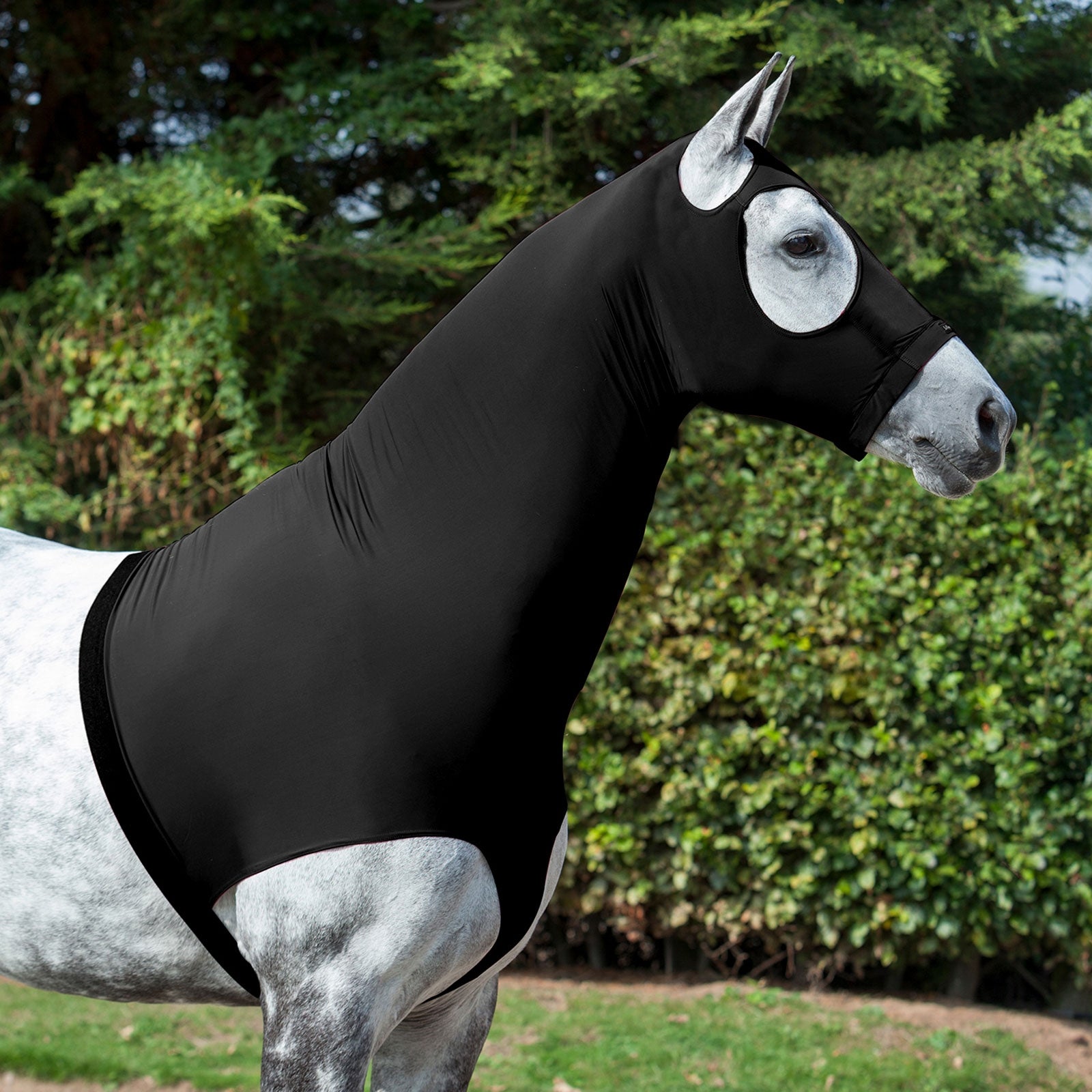 LeMieux Lycra huppu Loimet