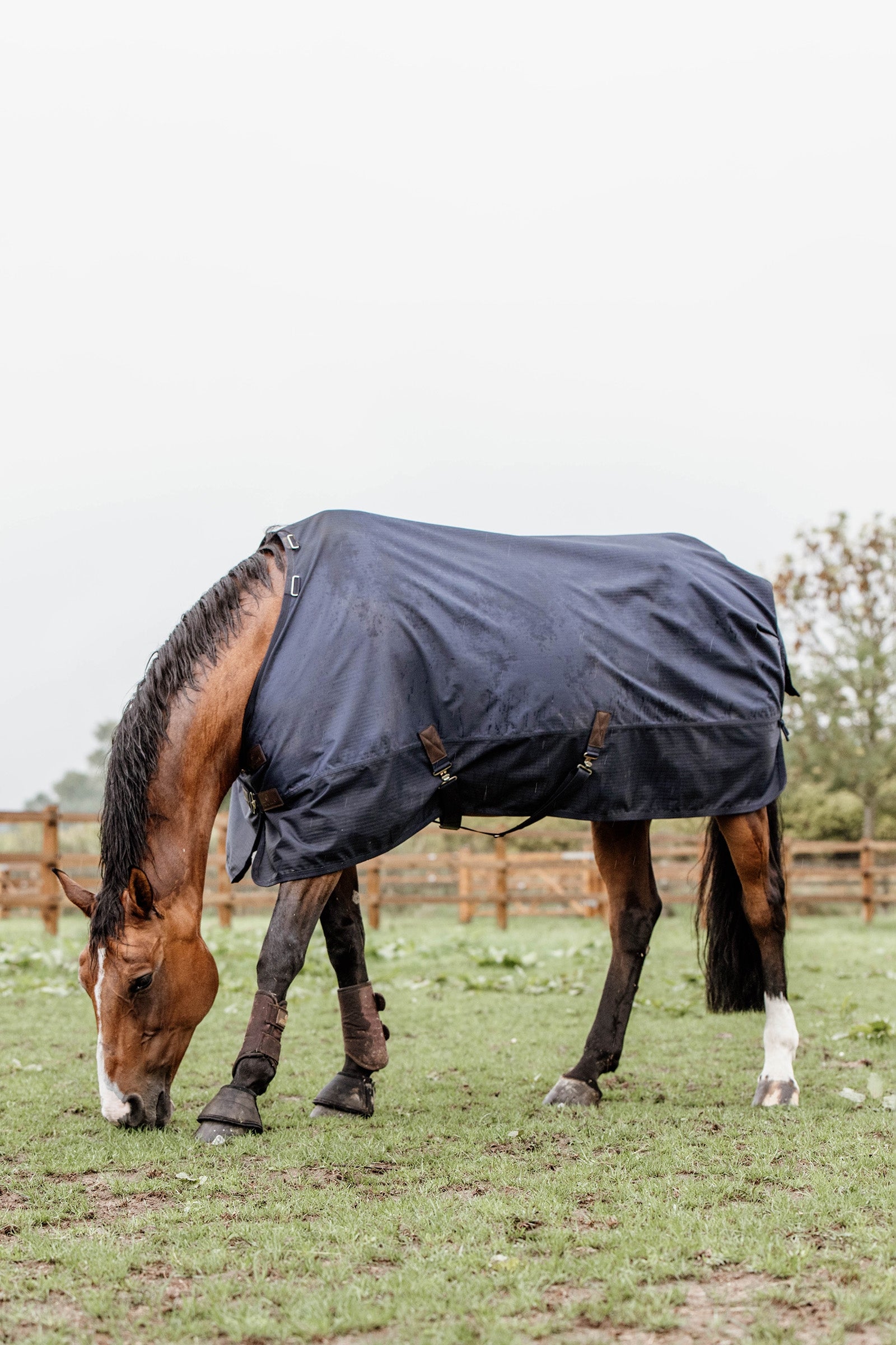 Kentucky Horsewear Turnout Rug All Weather, 300g Horse Rugs