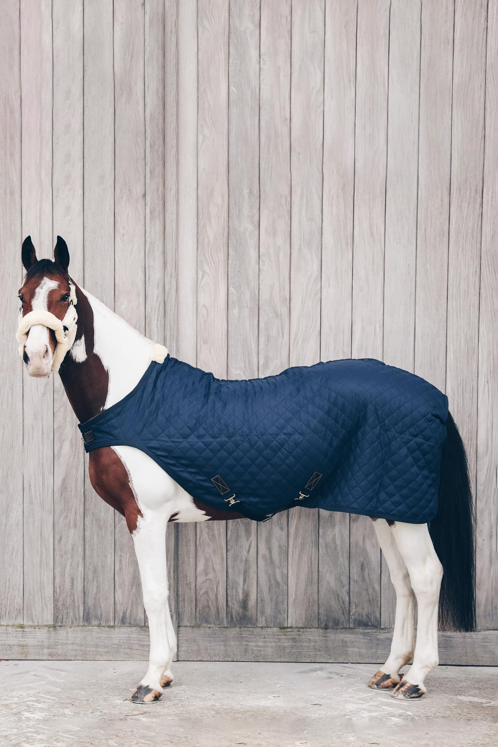 Kentucky Horsewear Walker loimi, 160 g Loimet