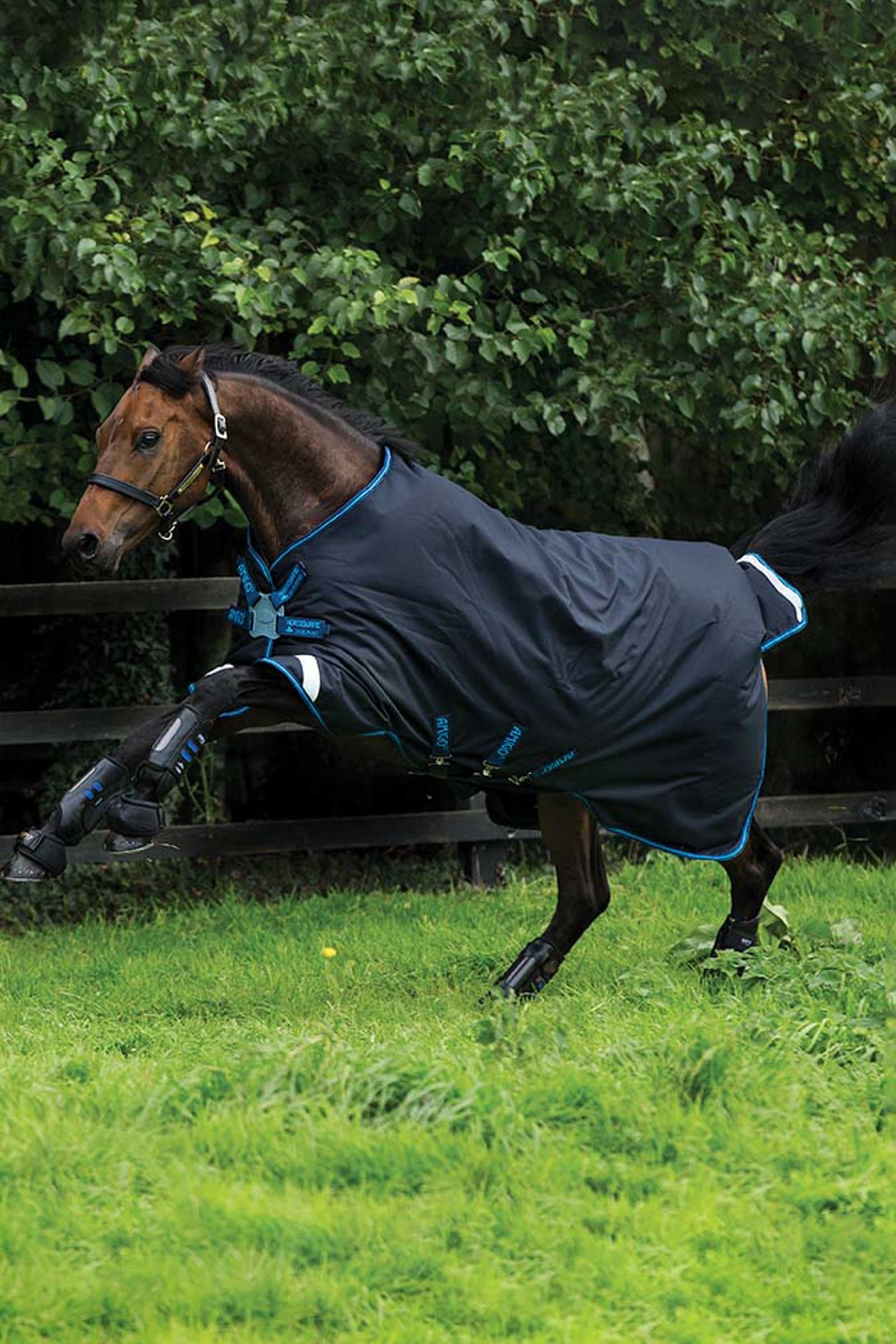 Horseware Amigo Bravo 12 100gr T/O DiscFrnt -loimi Loimet