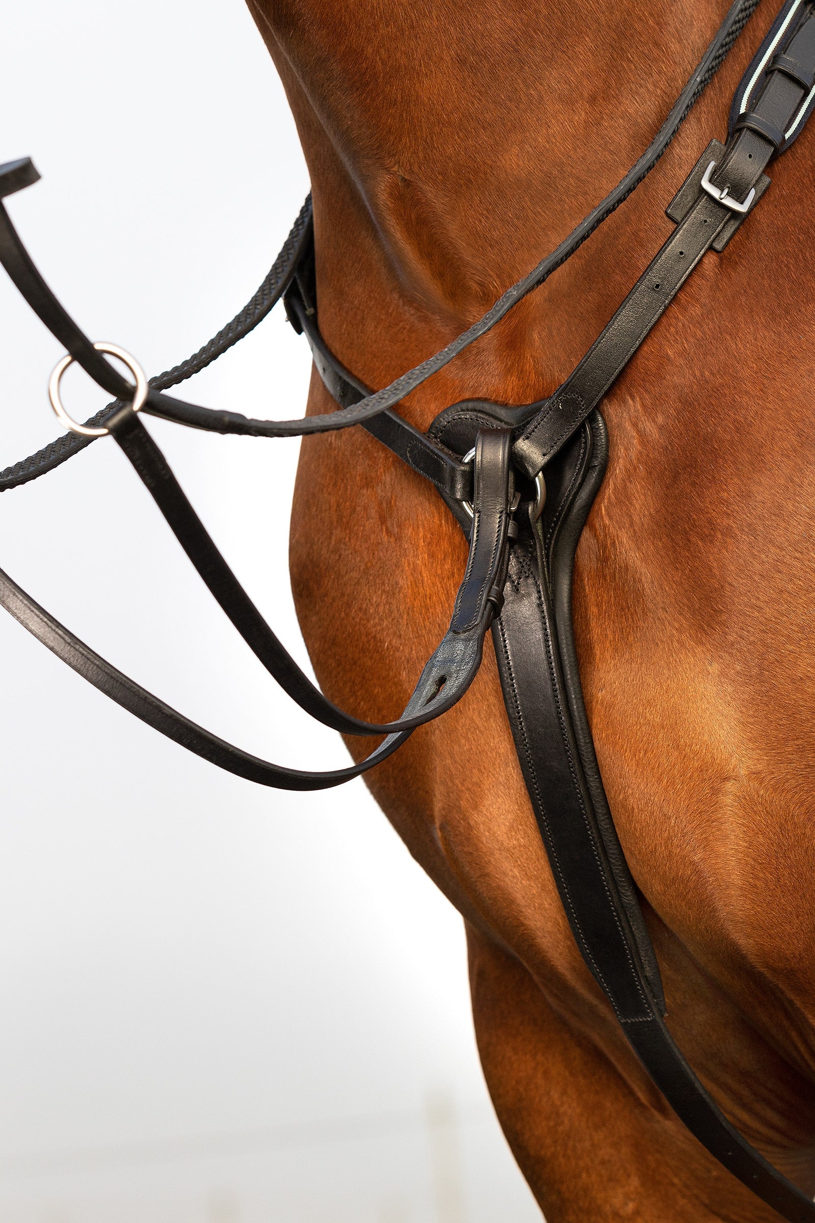 Horseware Rambo Micklem rintaremmi Suitset & Ohjat
