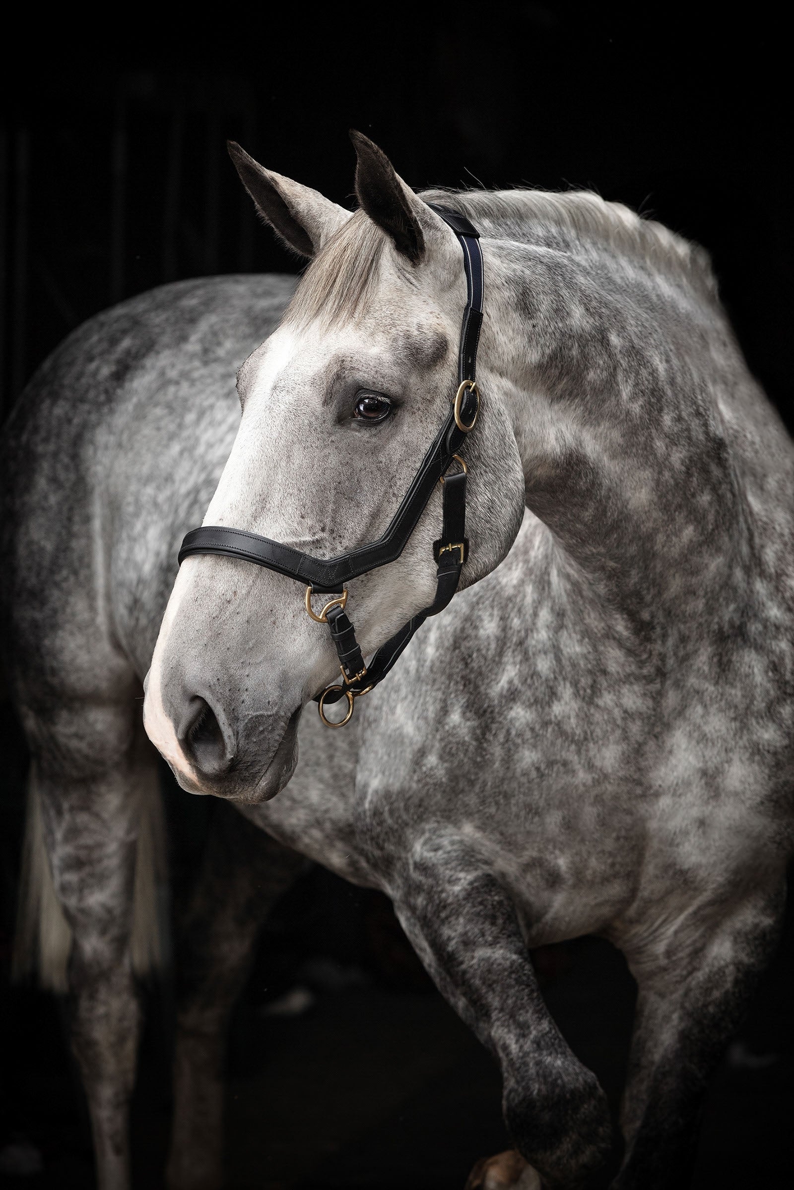 Horseware Rambo Micklem Headcollar Halters & Leads