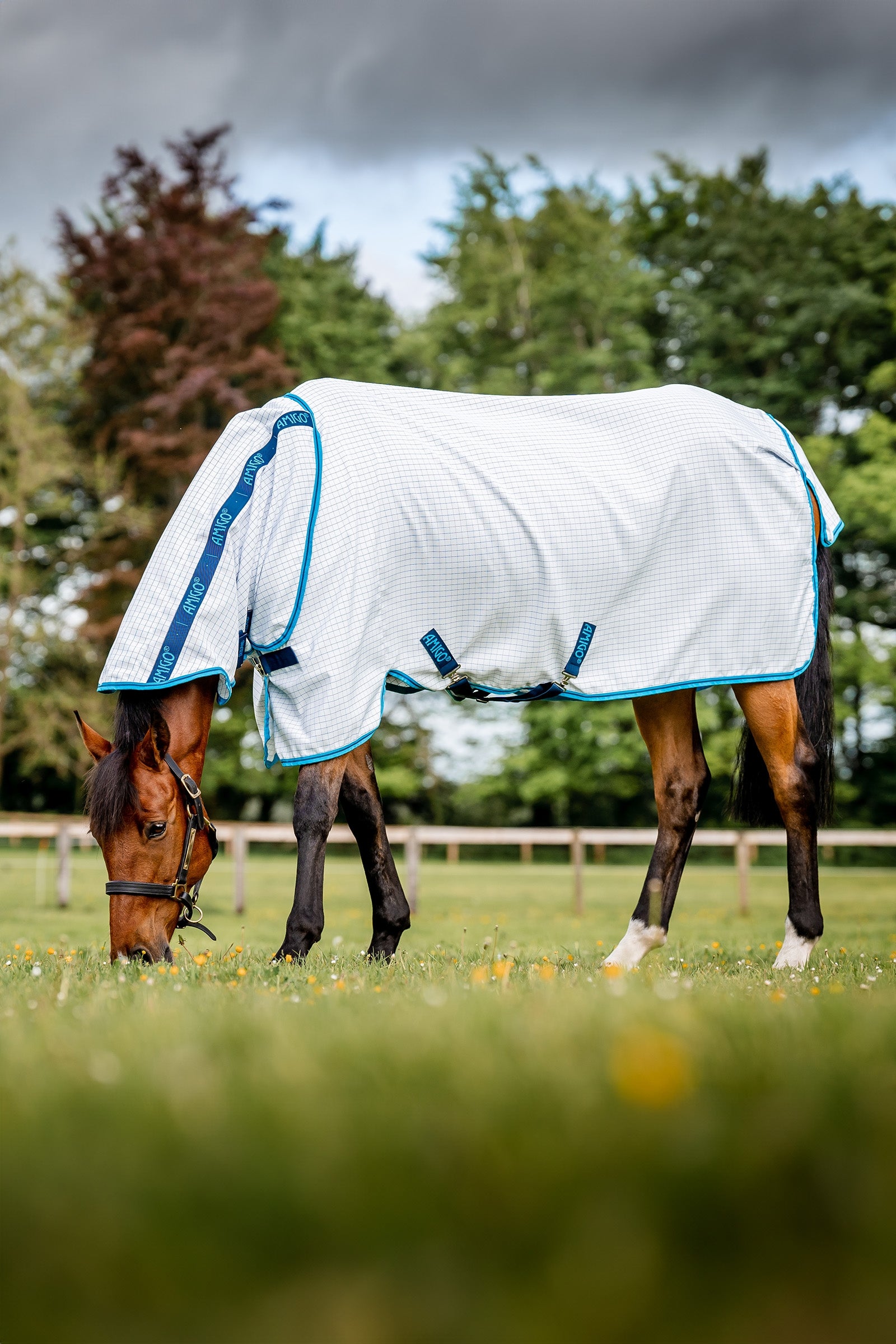 Horseware Amigo Summer Sheet Plus Horse Rugs