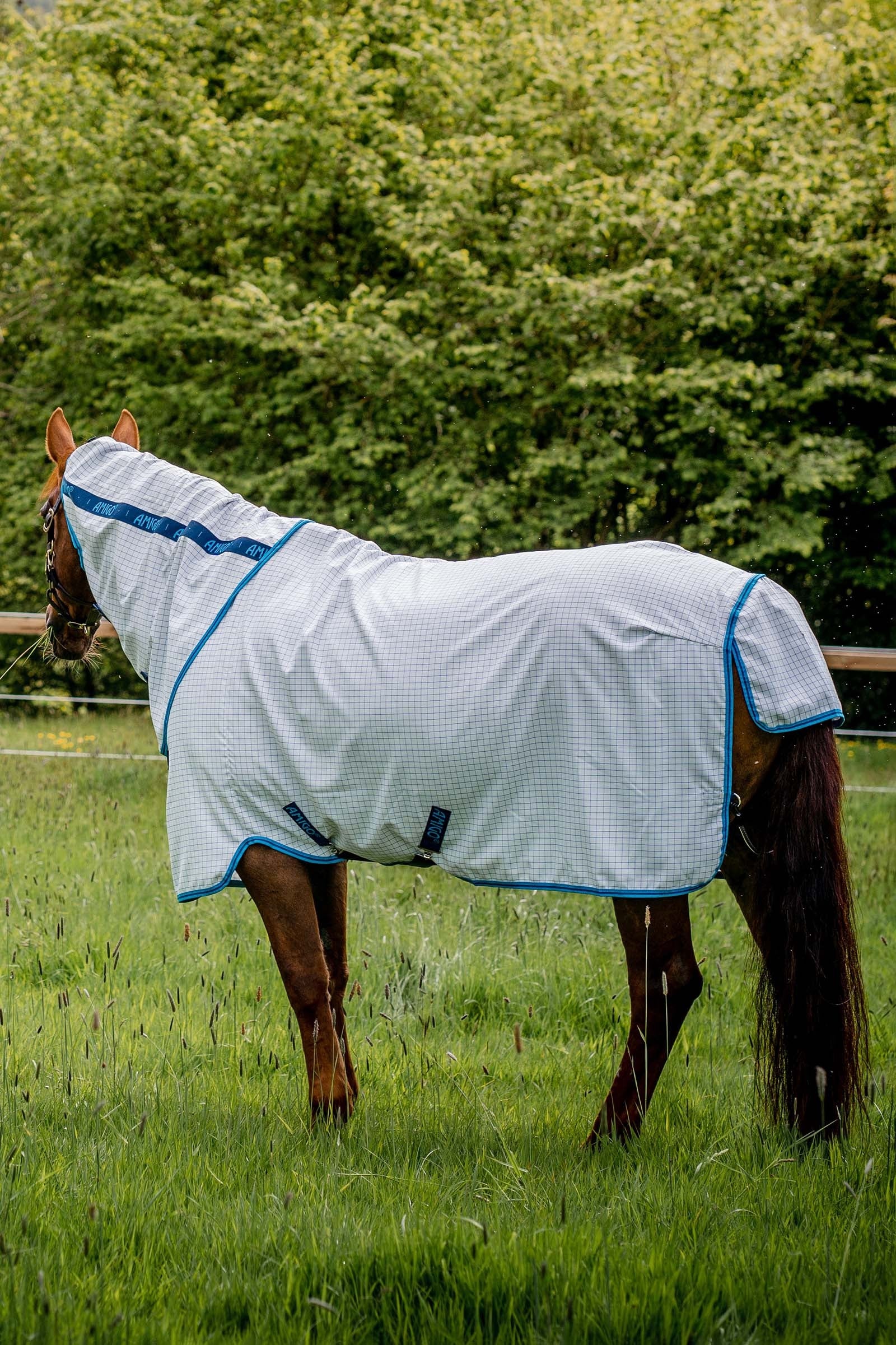 Horseware Amigo Summer Sheet Plus Horse Rugs