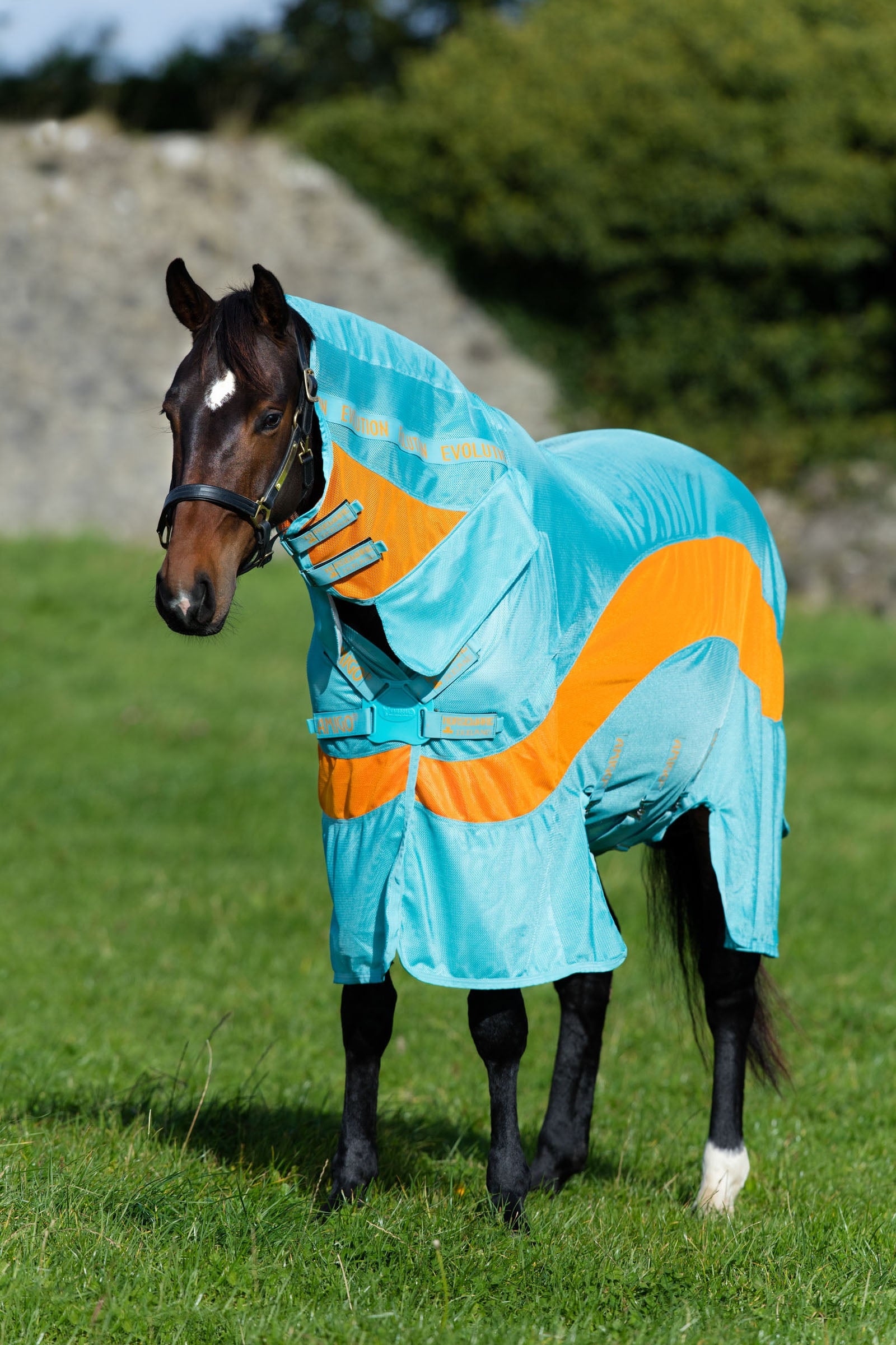 Horseware Amigo Evolution kärpäsloimi Loimet