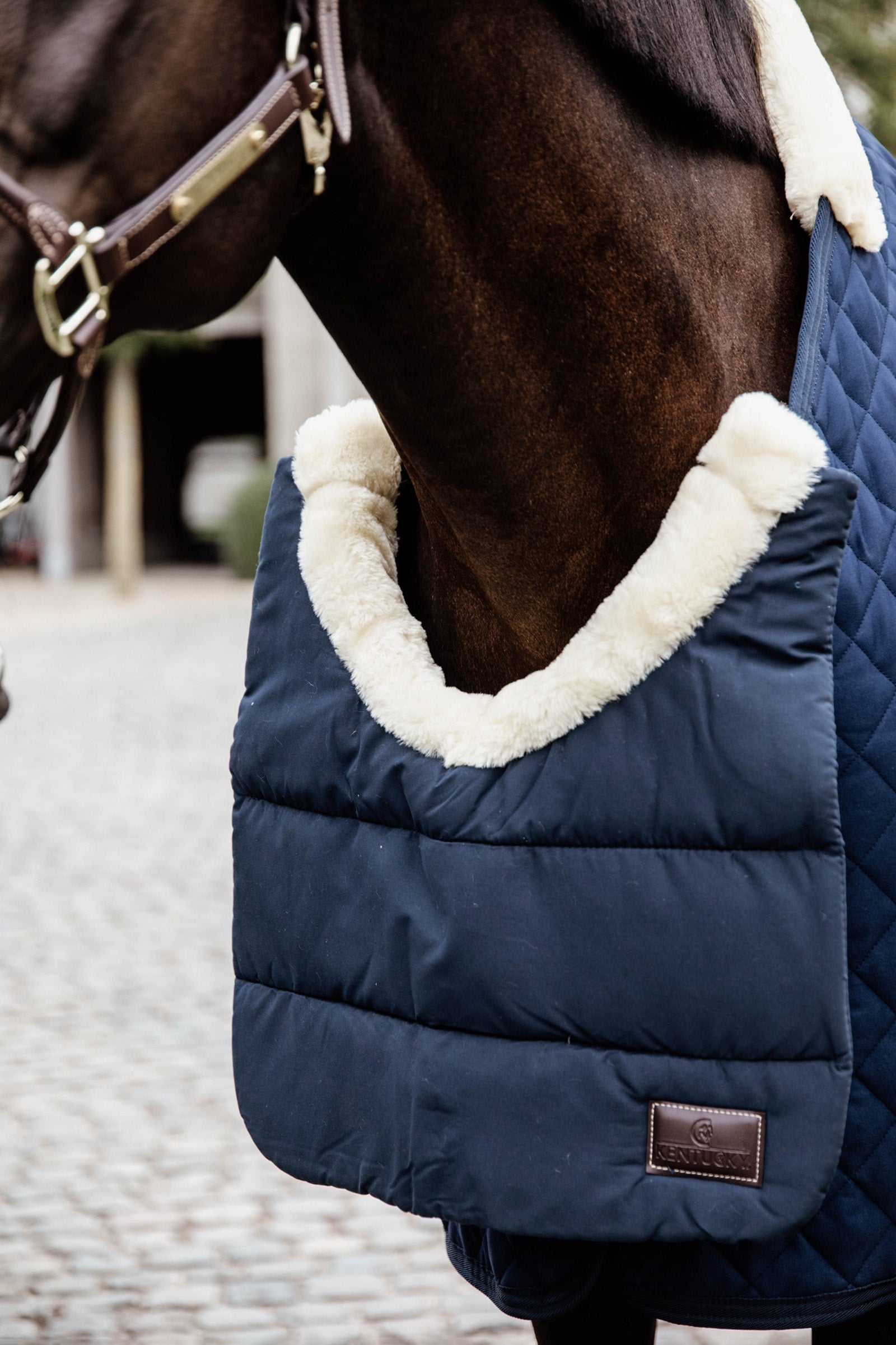 Kentucky Horsewear Horse BIB Winter Horse Rugs