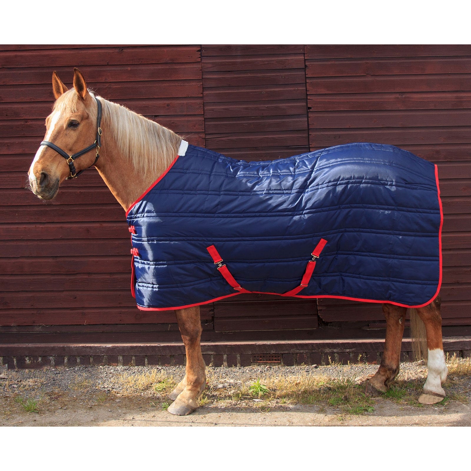 John Whitaker JW Thomas talliloimi, 250 g Loimet