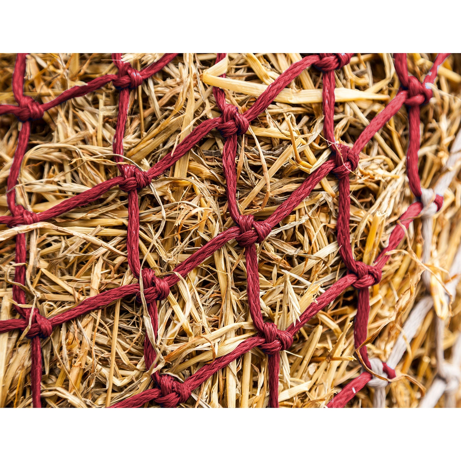 LeMieux Hippo heinäverkko Hevosen ruokinta