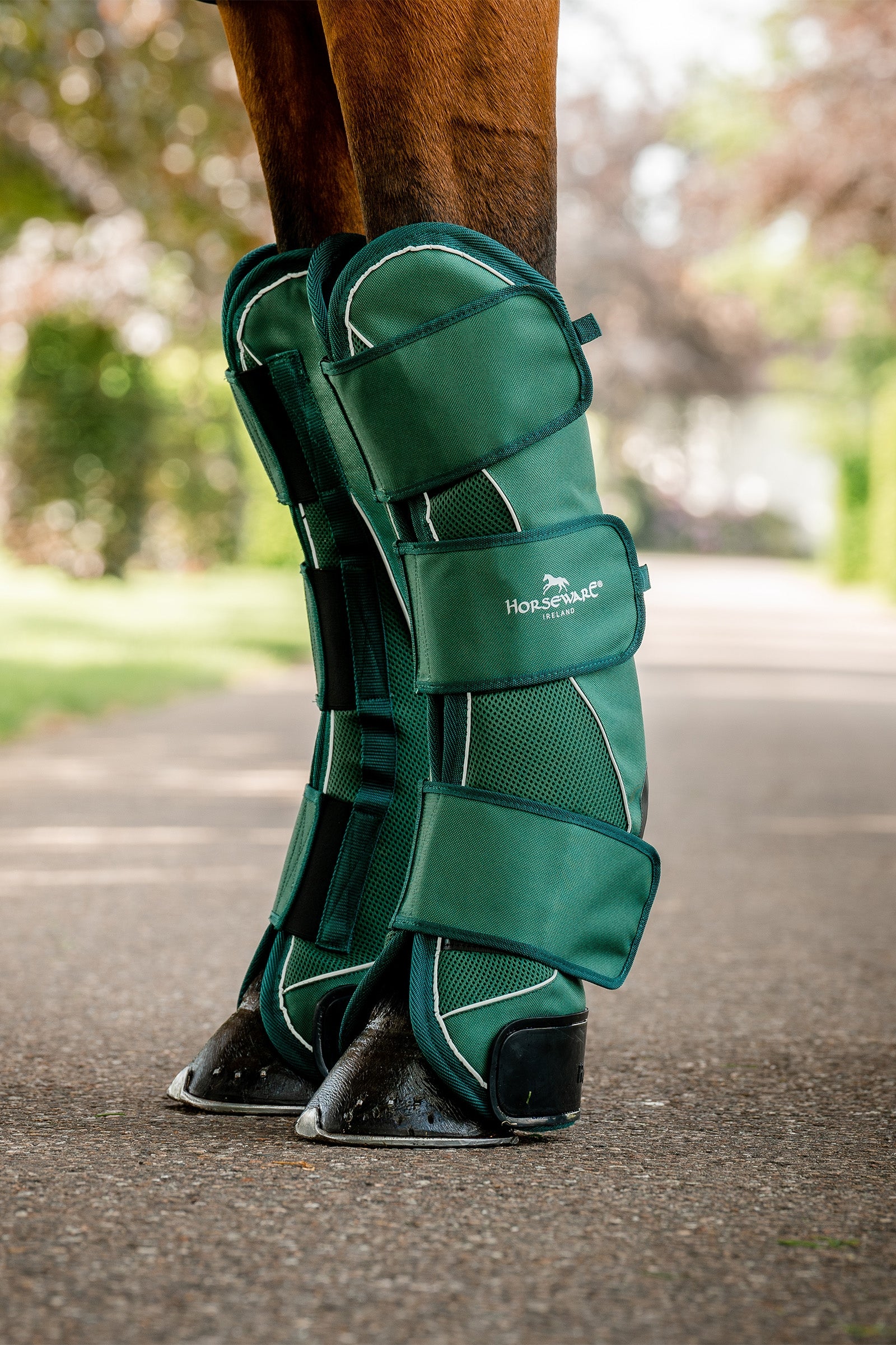 Horseware Signature Kuljetussuojat Leg Protection & Hoof Protection for Horses
