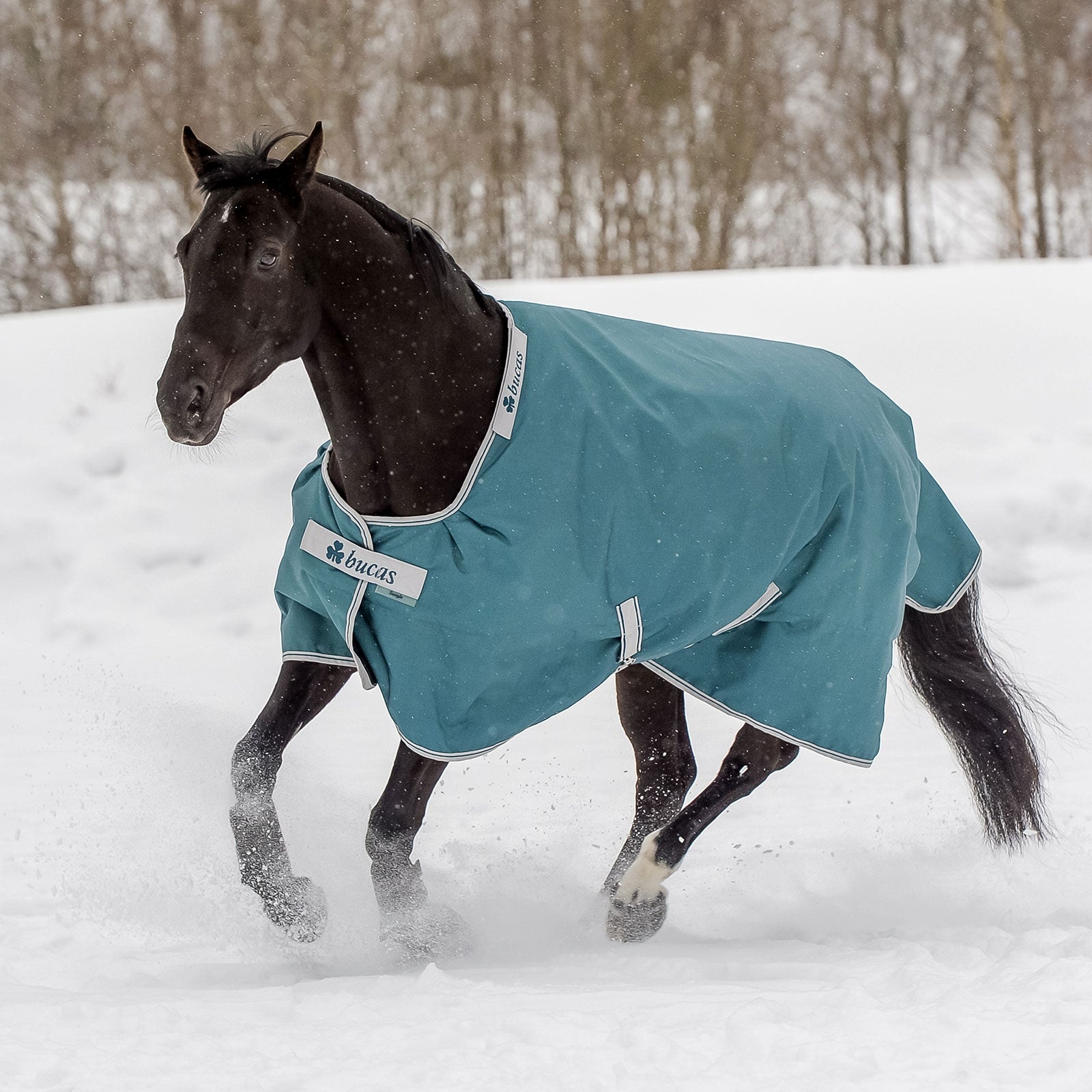 Bucas Atlantic ulkoloimi, 400 g Loimet