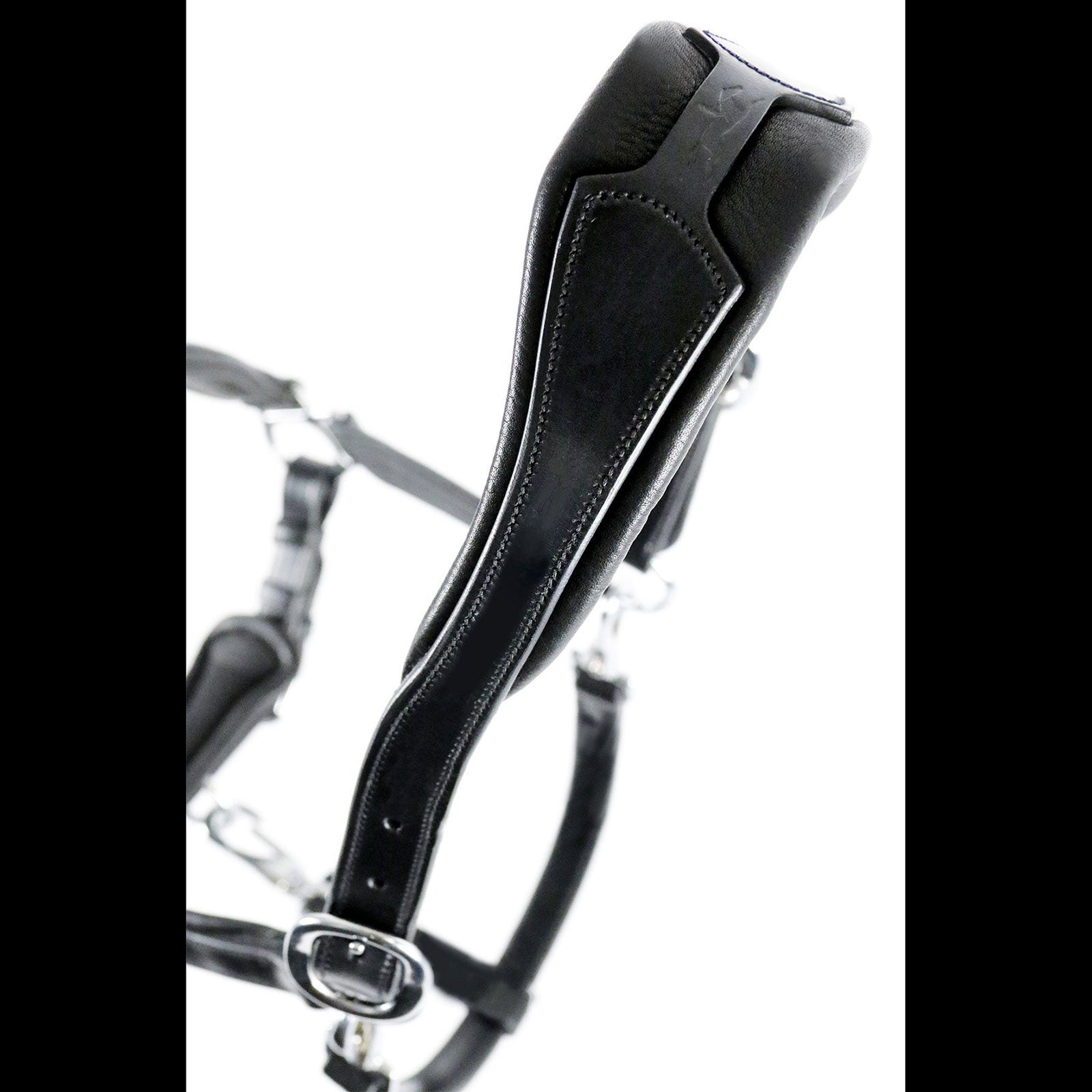 Schockemöhle Sports Fremont Halter Halters & Leads