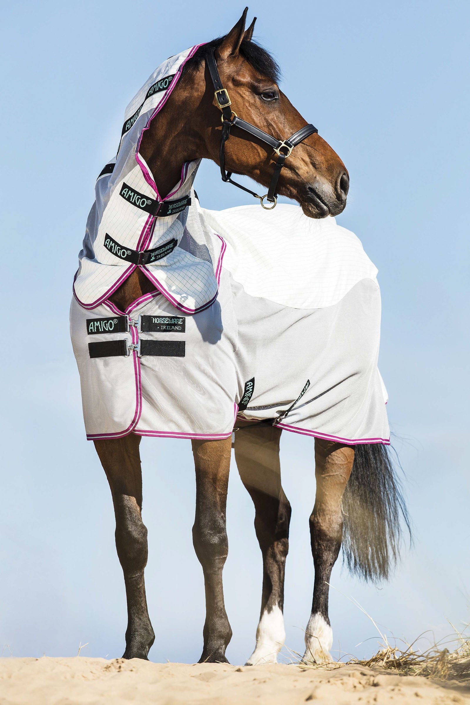 Horseware Amigo Airflow hyönteisloimi irrotettavalla kaulaosalla Loimet
