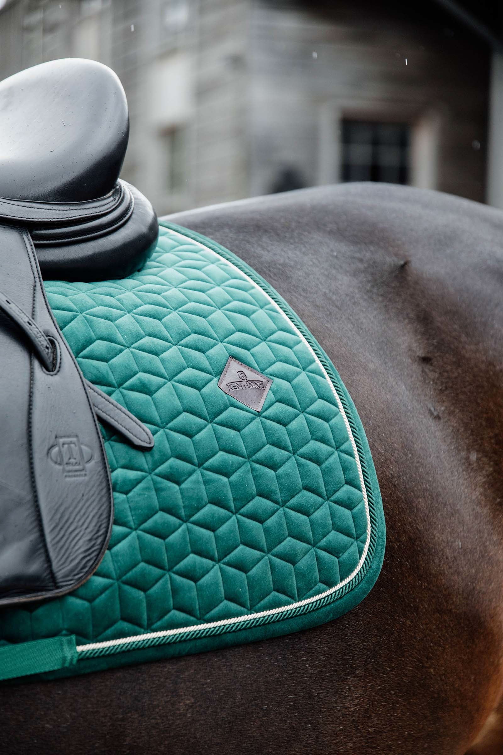 Kentucky Horsewear Velvet Dressage Saddle Pad Saddle Pads