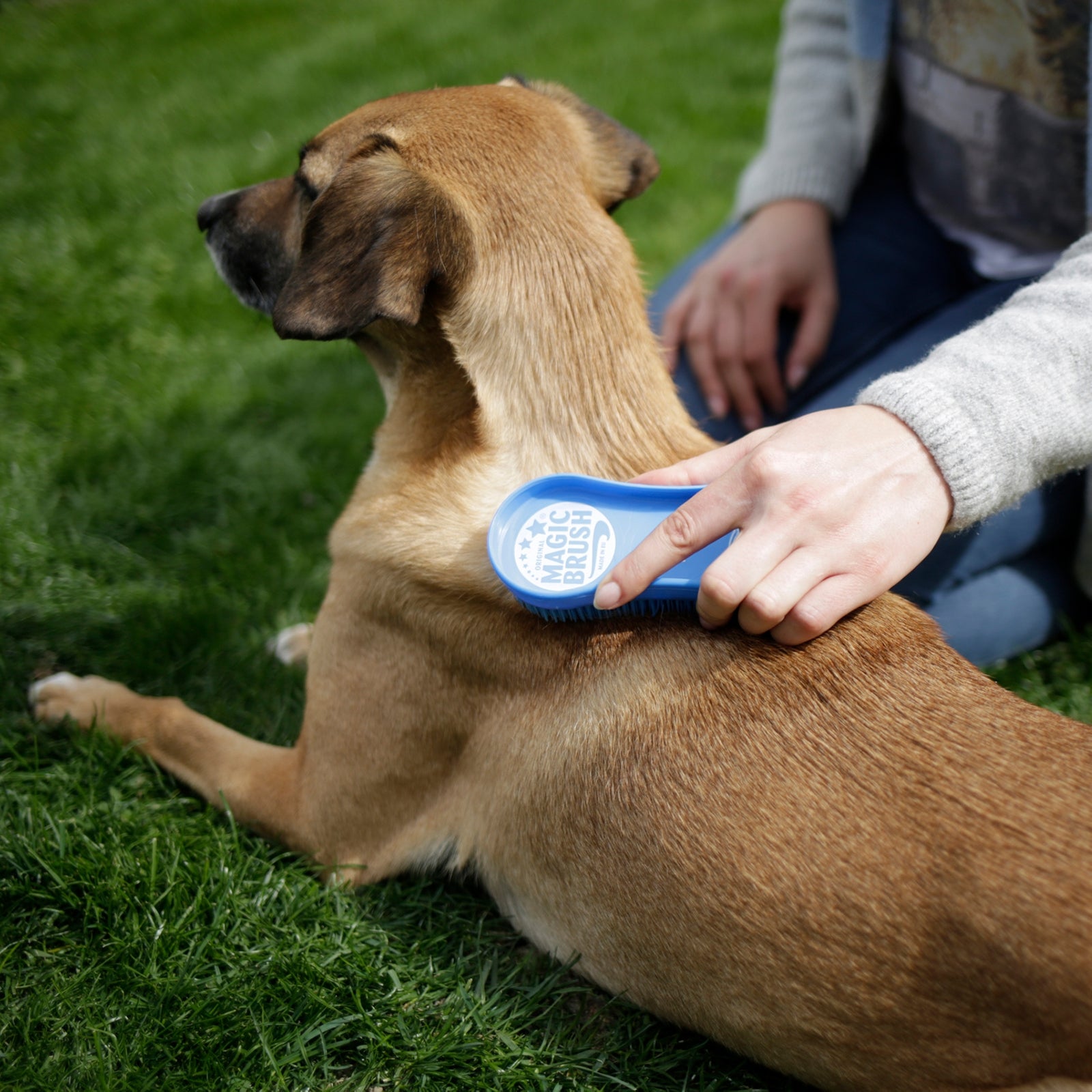 Kerbl Magic Brush Dog Dog Accesories