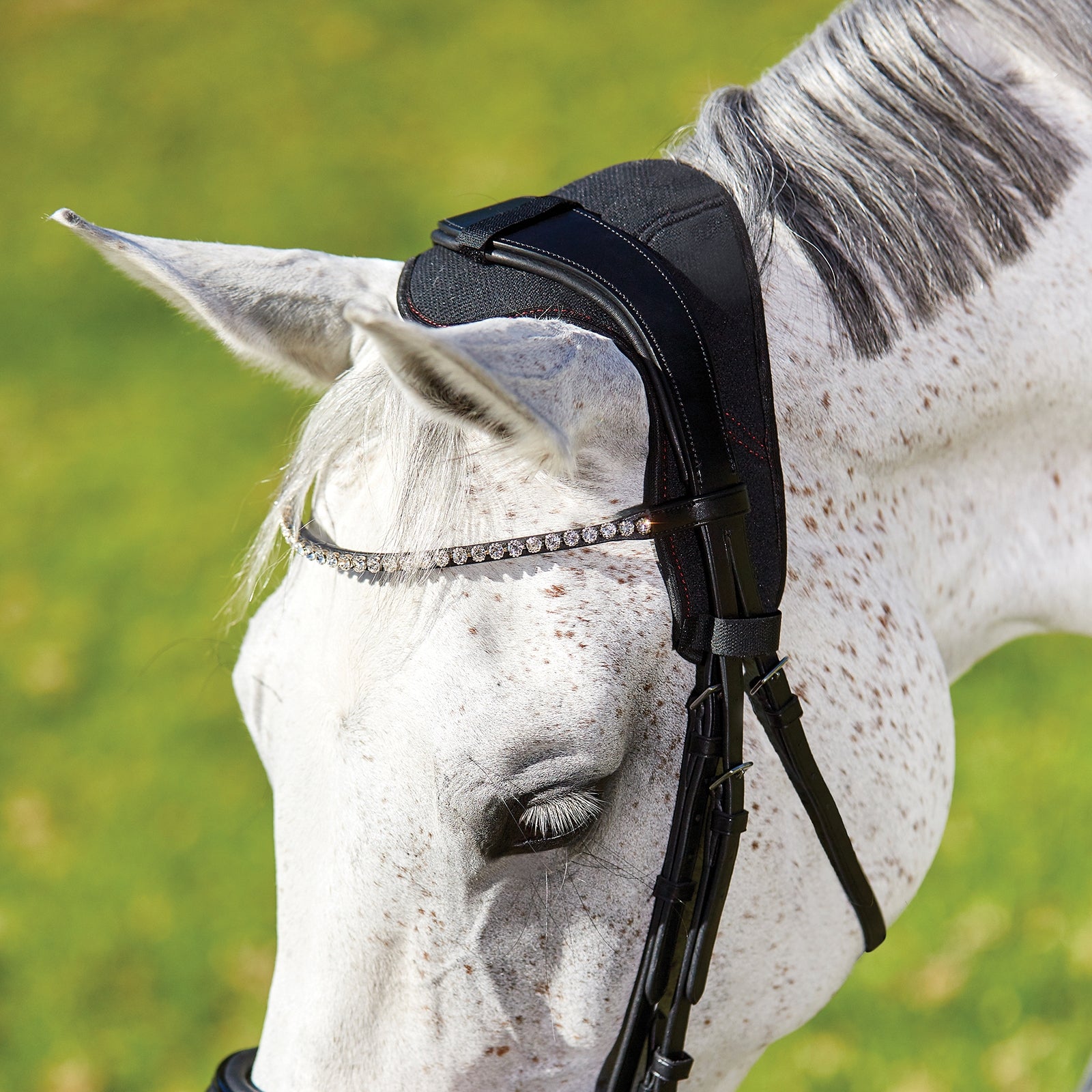 Weatherbeeta Therapy-tec Anatomical Poll Pad Bridles & Reins