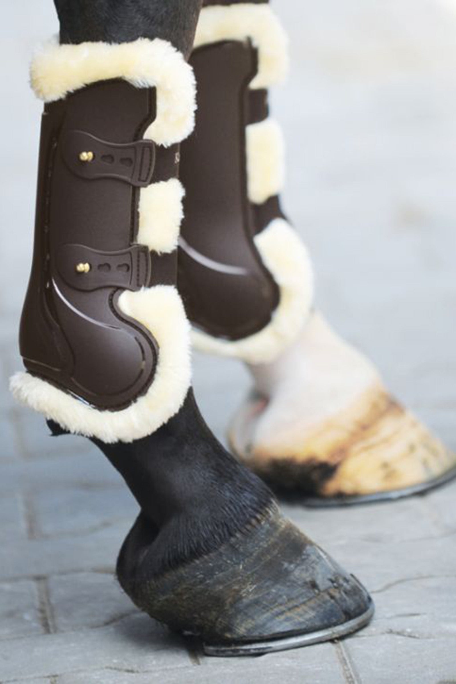 Kavalkade Tendon Boots Compete 'n Wool Leg Protection & Hoof Protection for Horses