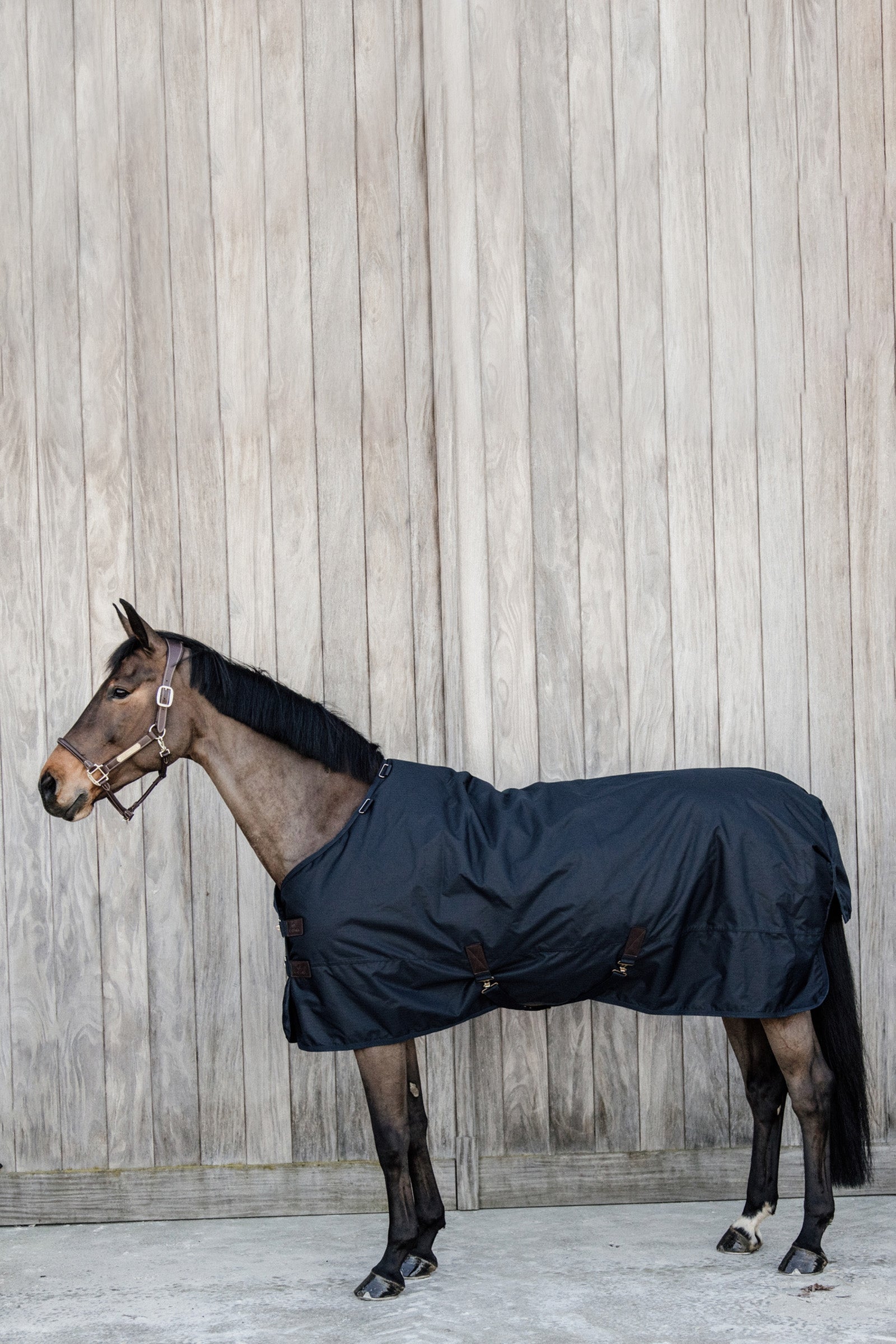 Kentucky Horsewear All Weather Waterproof Classic ulkoloimi, 50 g Loimet