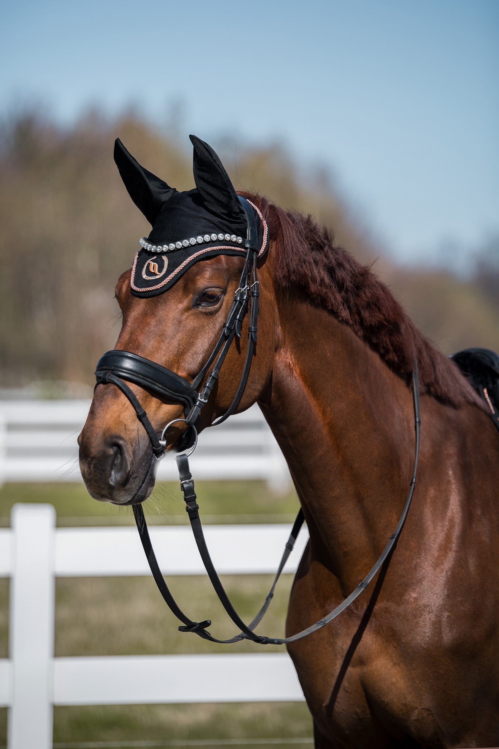 Back on Track Haze Collection Bonnet Saddle Pads