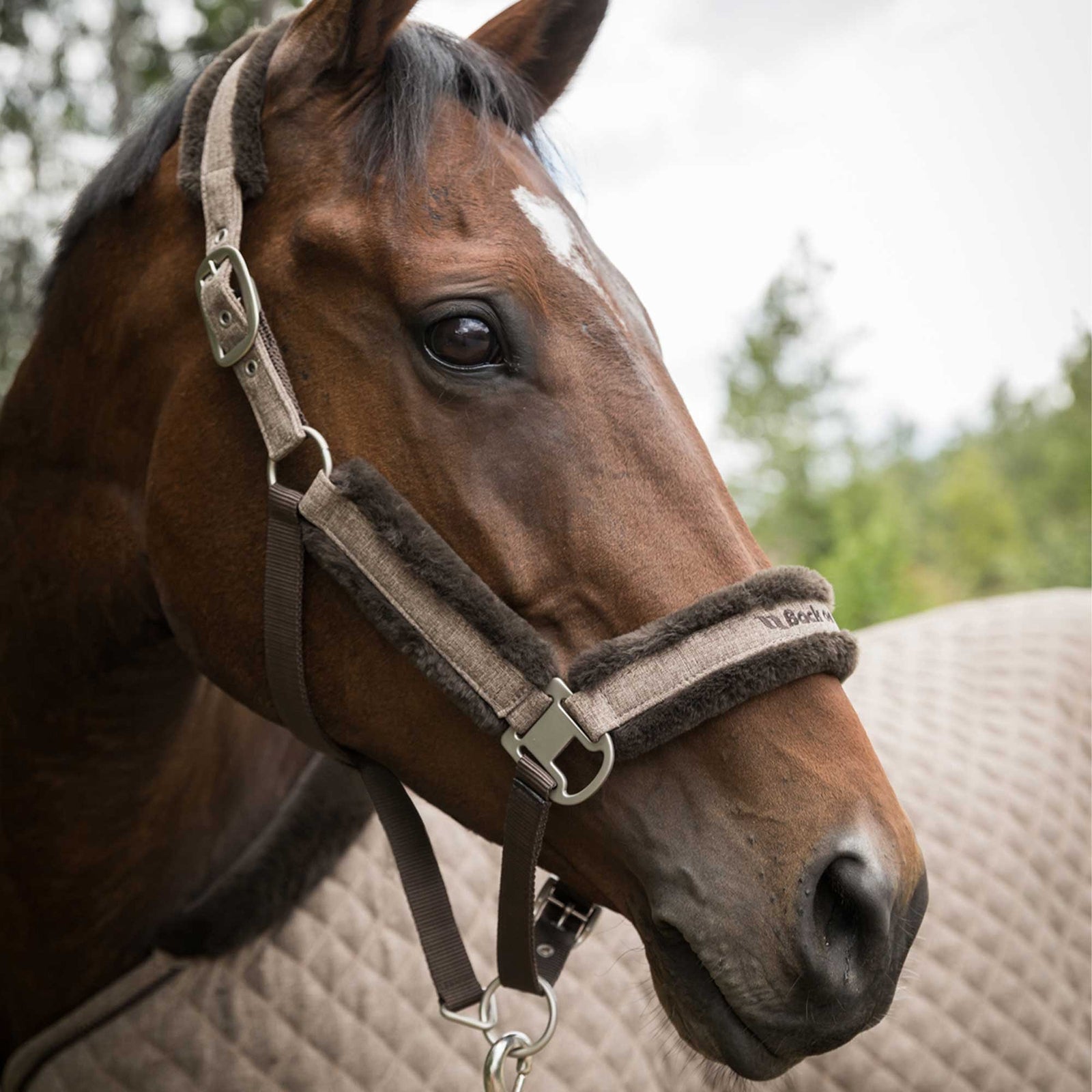 Back on Track Haze Collection Halter Halters & Leads