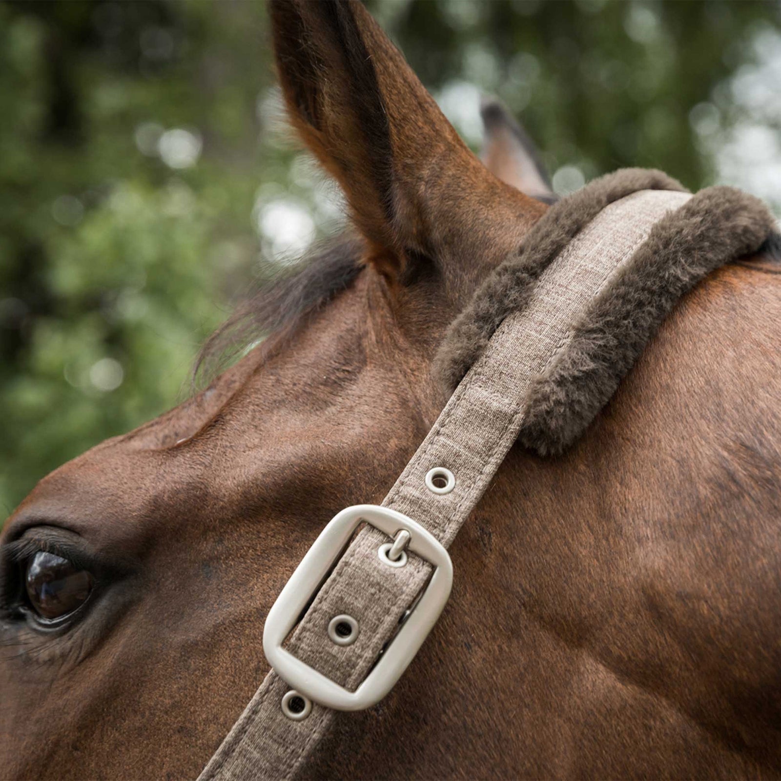 Back on Track Haze Collection Halter Halters & Leads