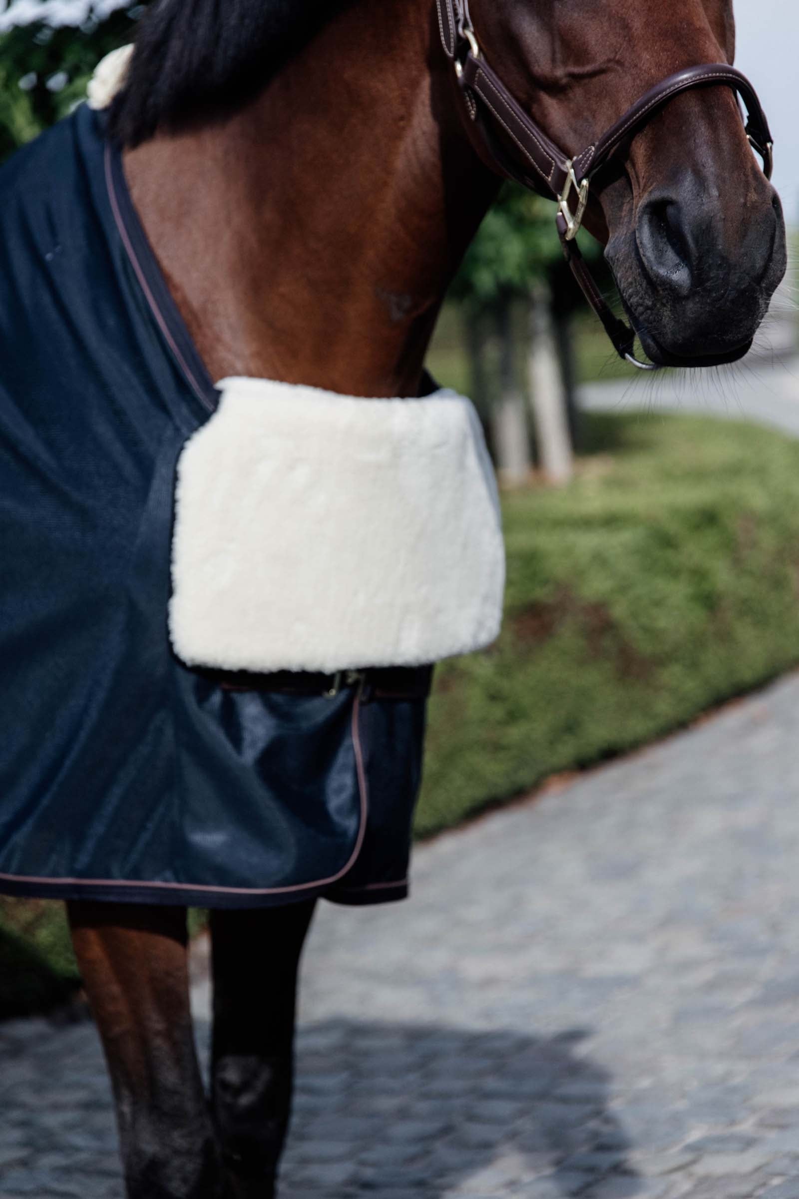 Kentucky Horsewear rintasuojus lampaankarvasta Loimet