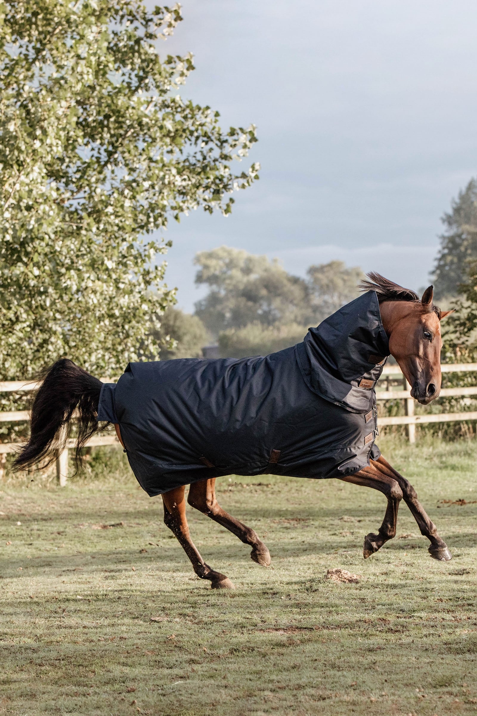 Kentucky Horsewear Turnout Rug All Weather Waterproof Classic, 150g Horse Rugs