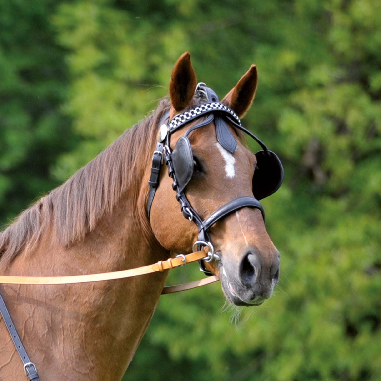 Waldhausen Bridle with Blinkers Racing Tack