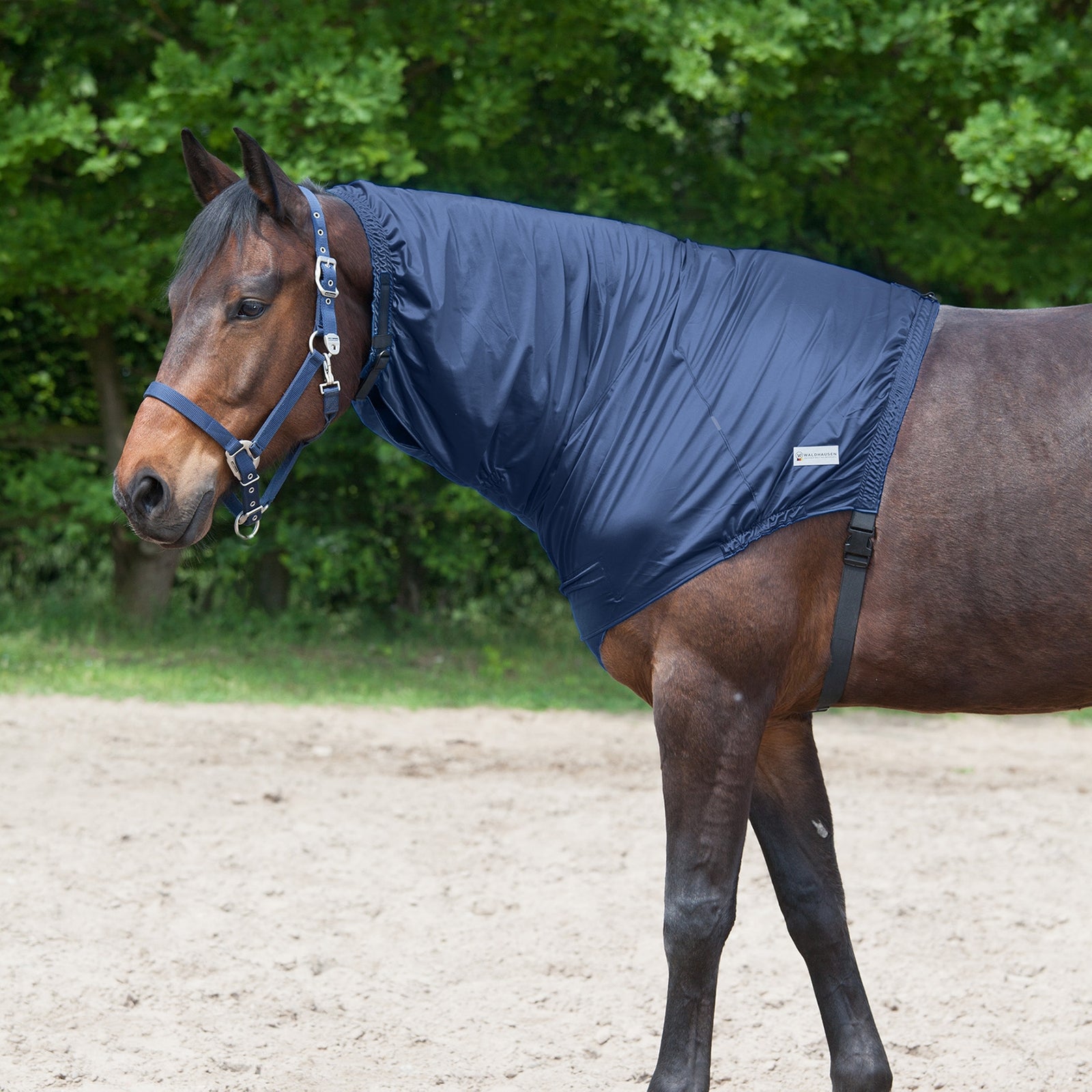 Waldhausen Eczema kaulakappale Loimet