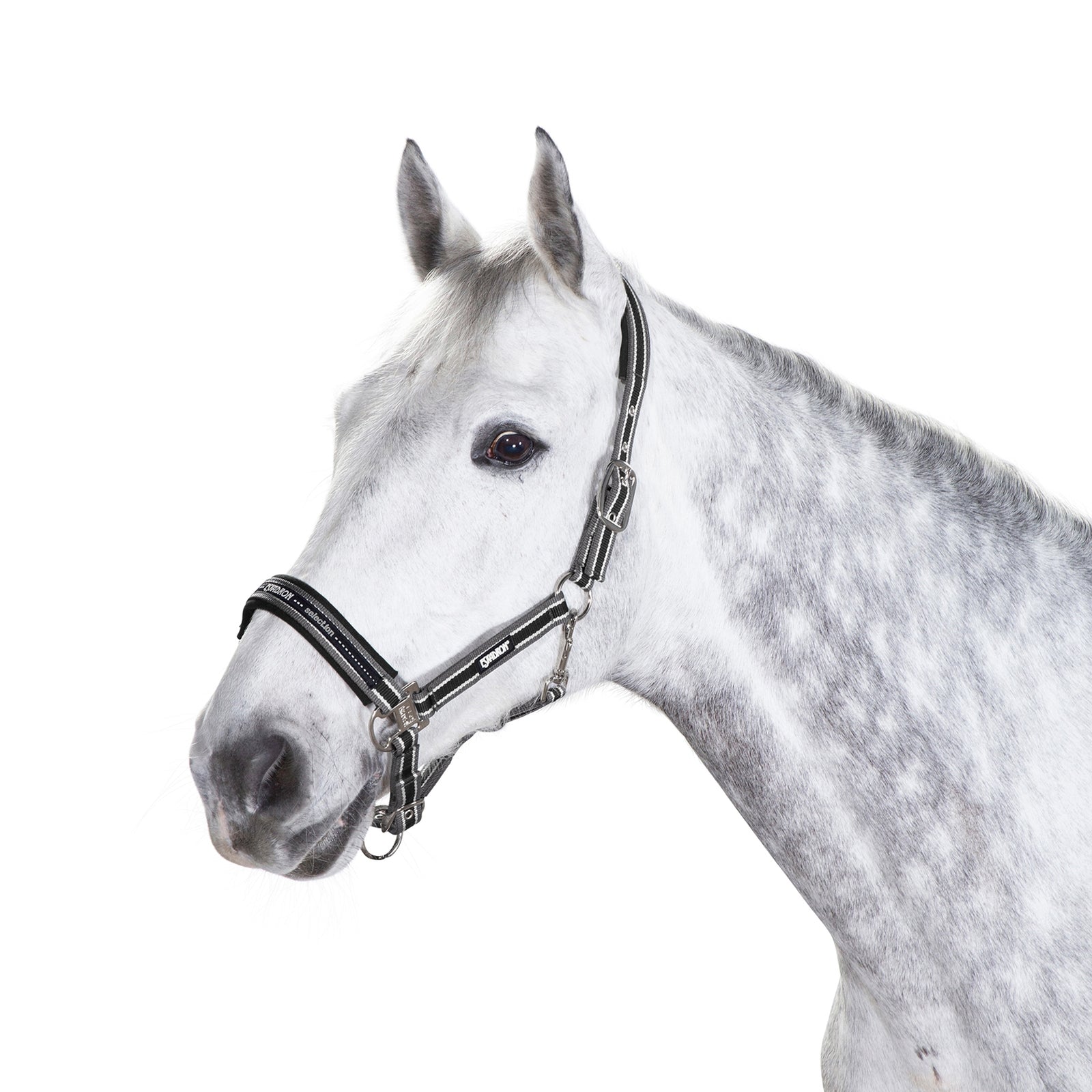 Eskadron riimu rullasoljilla Riimut & riimunnarut