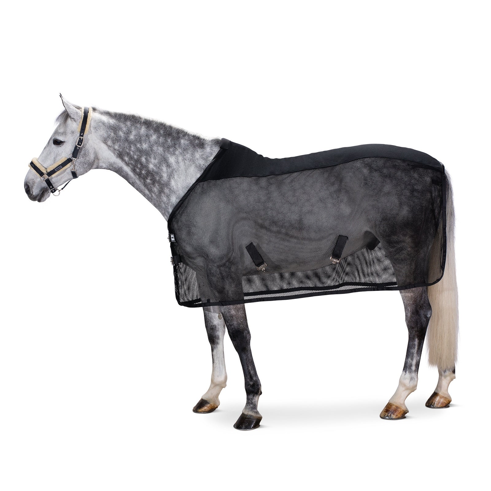 Eskadron Pro Cover Dura kärpäsloimi Loimet