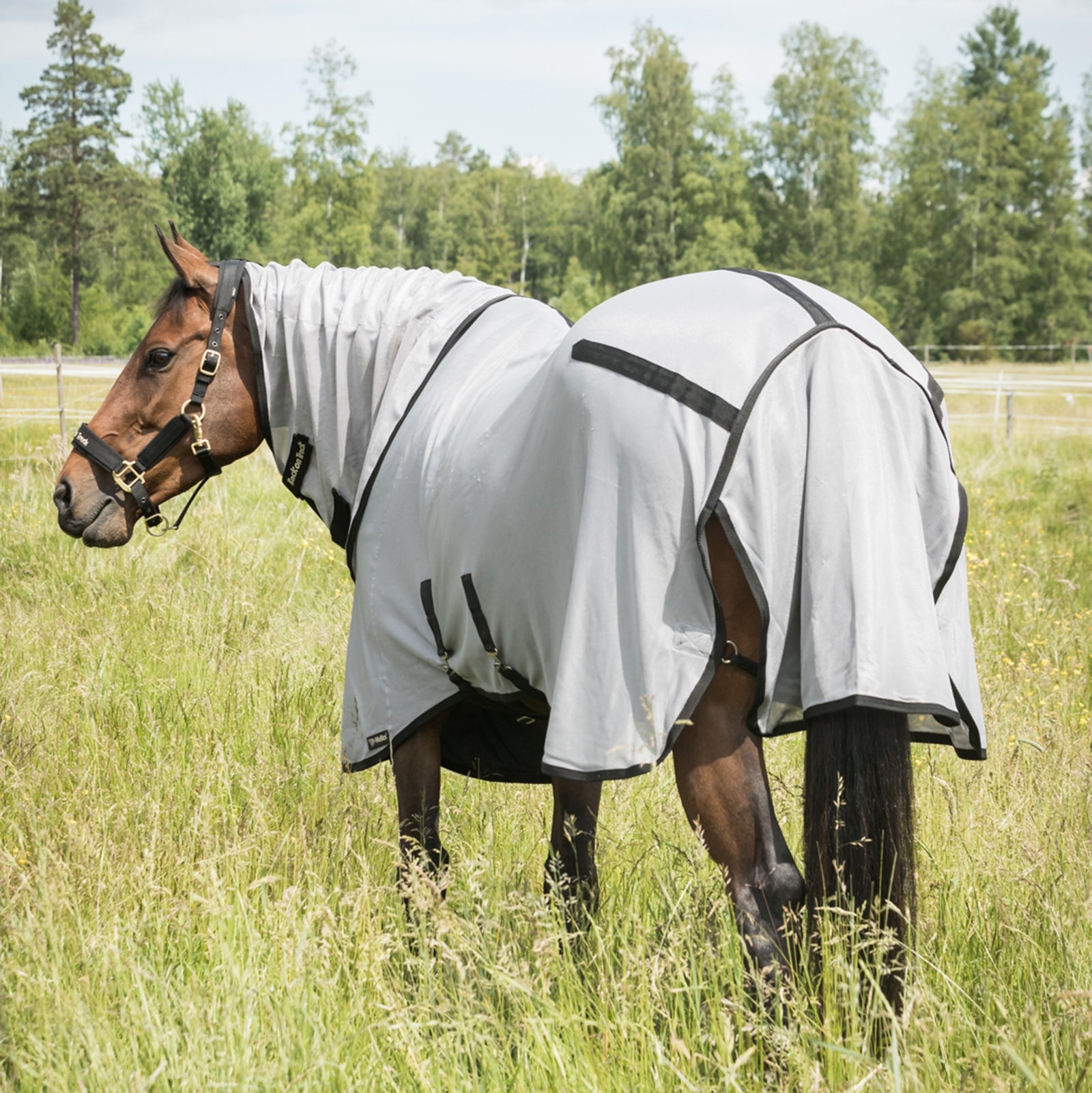Back on Track Butzer Fly Rug with Hood Horse Rugs
