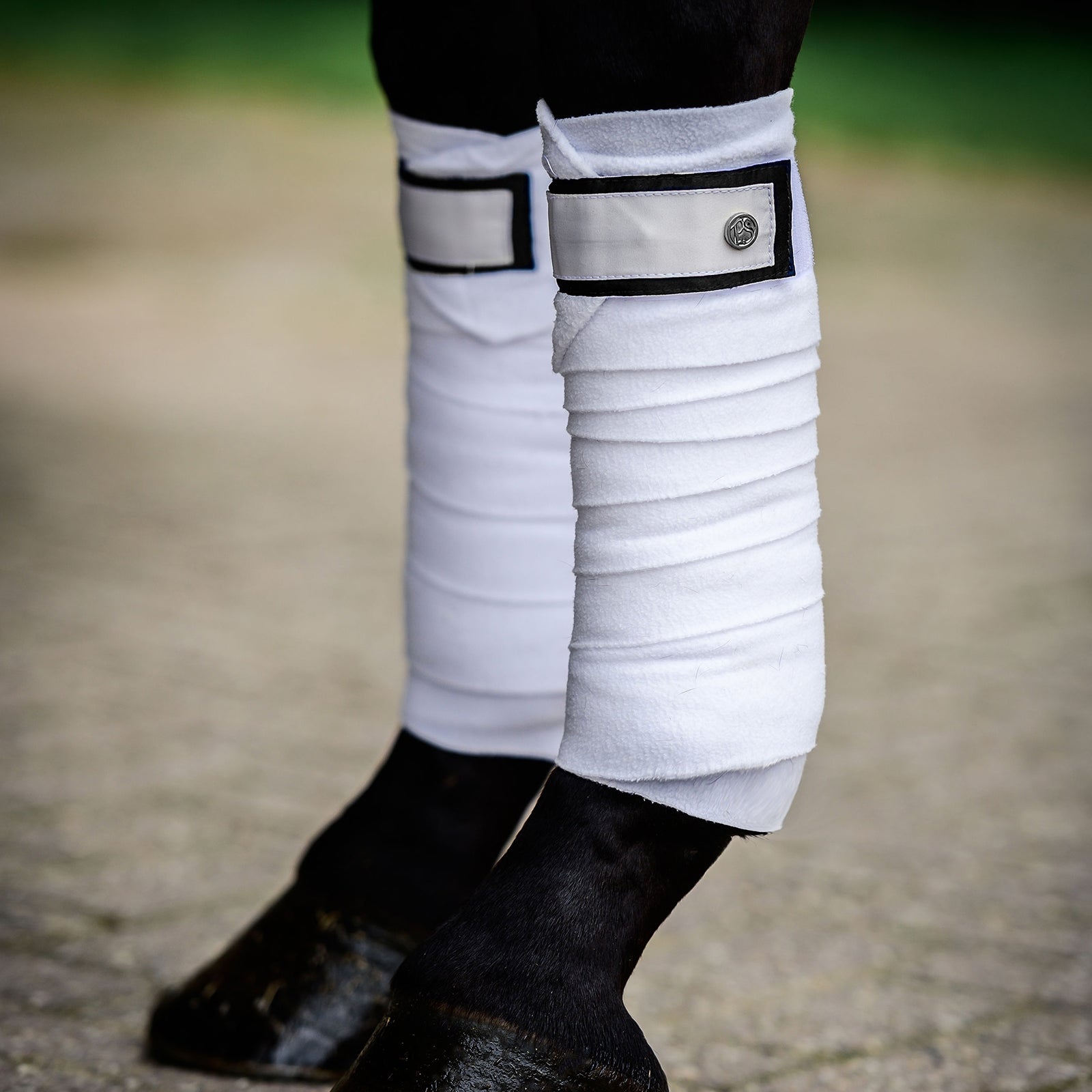 PS of Sweden Winning Round pintelit (pakkauksessa 4 kpl) Leg Protection & Hoof Protection for Horses