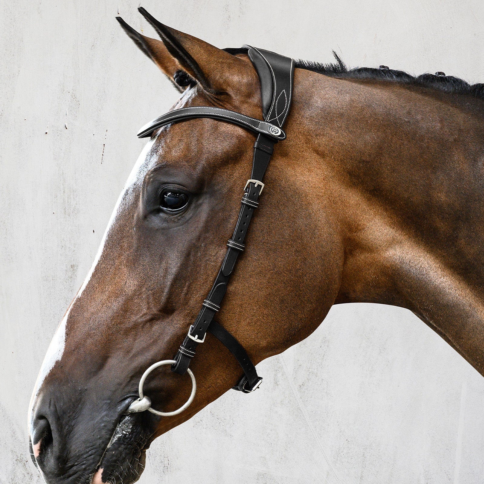 PS of Sweden Bridle Helsinki Bridles & Reins