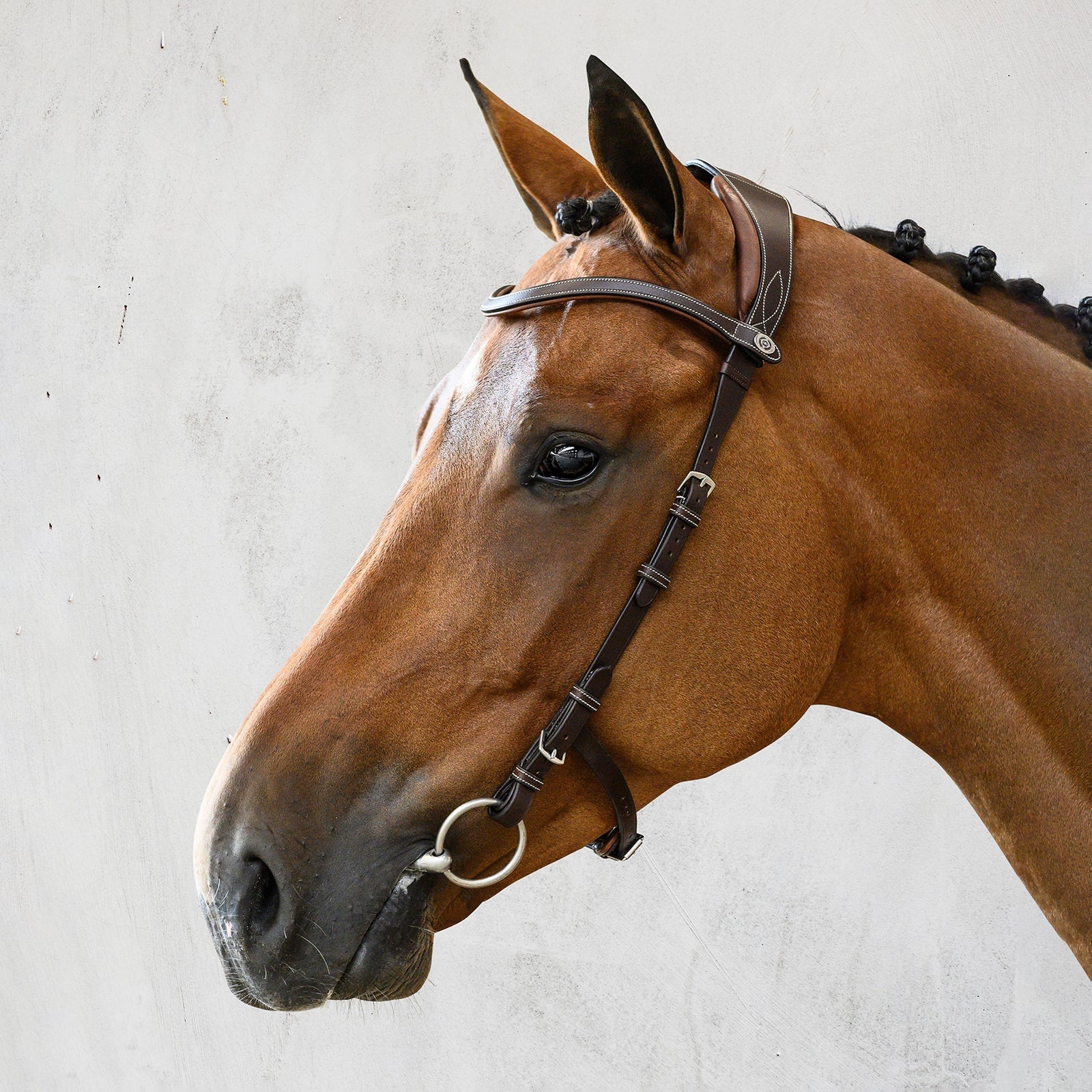 PS of Sweden Bridle Helsinki Bridles & Reins