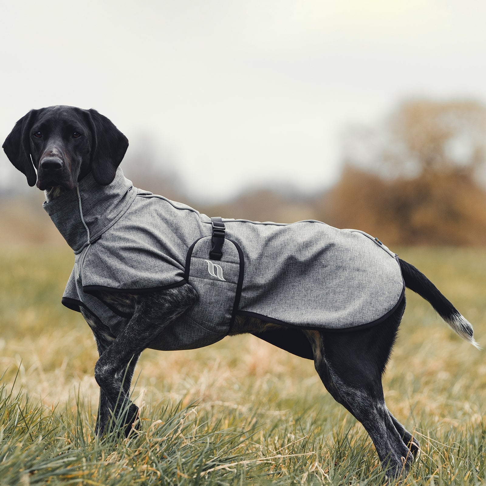 Back on Track Bark All-Round Dog Coat, 55-65cm Dog Accesories