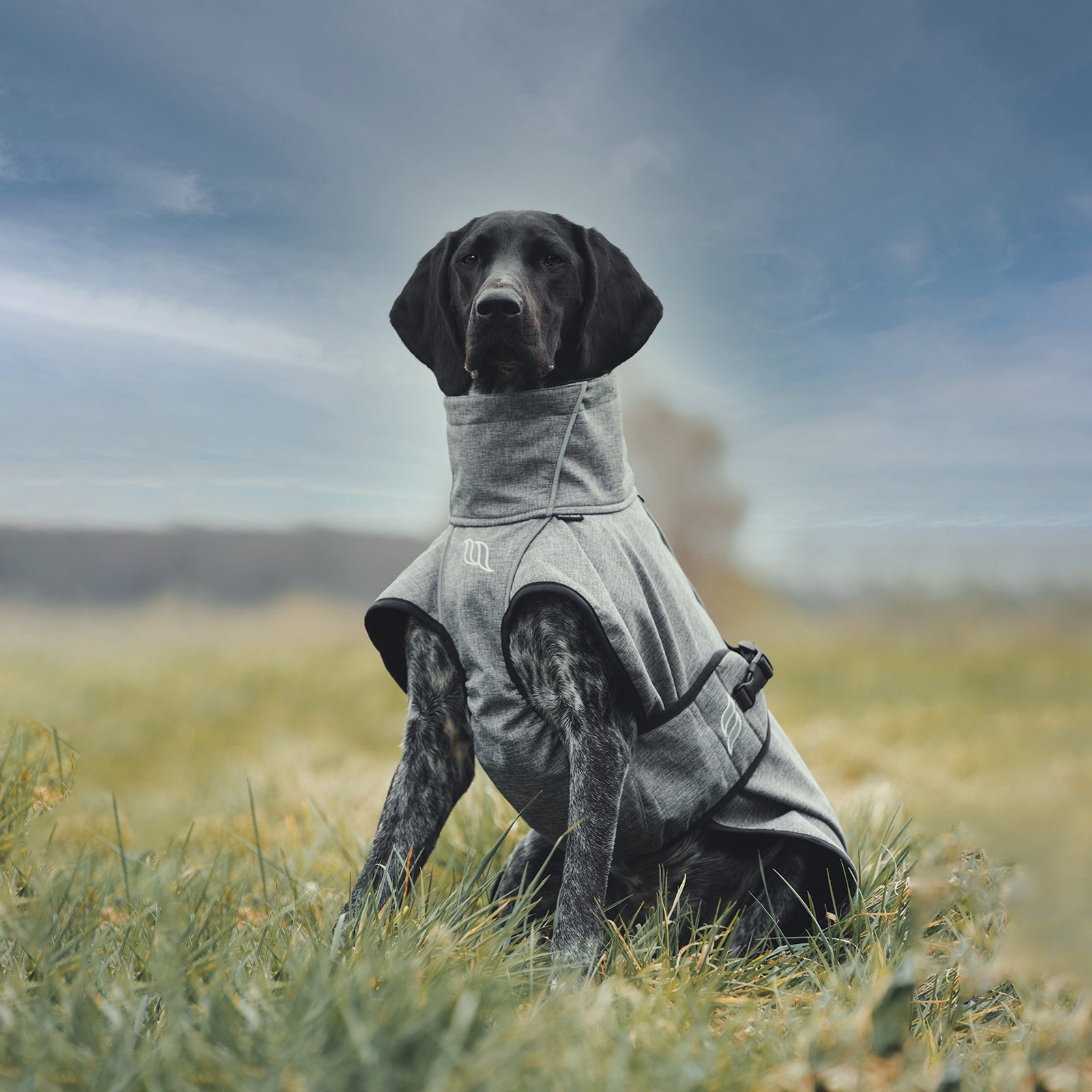 Back on Track Bark All-Round Dog Coat, 55-65cm Dog Accesories