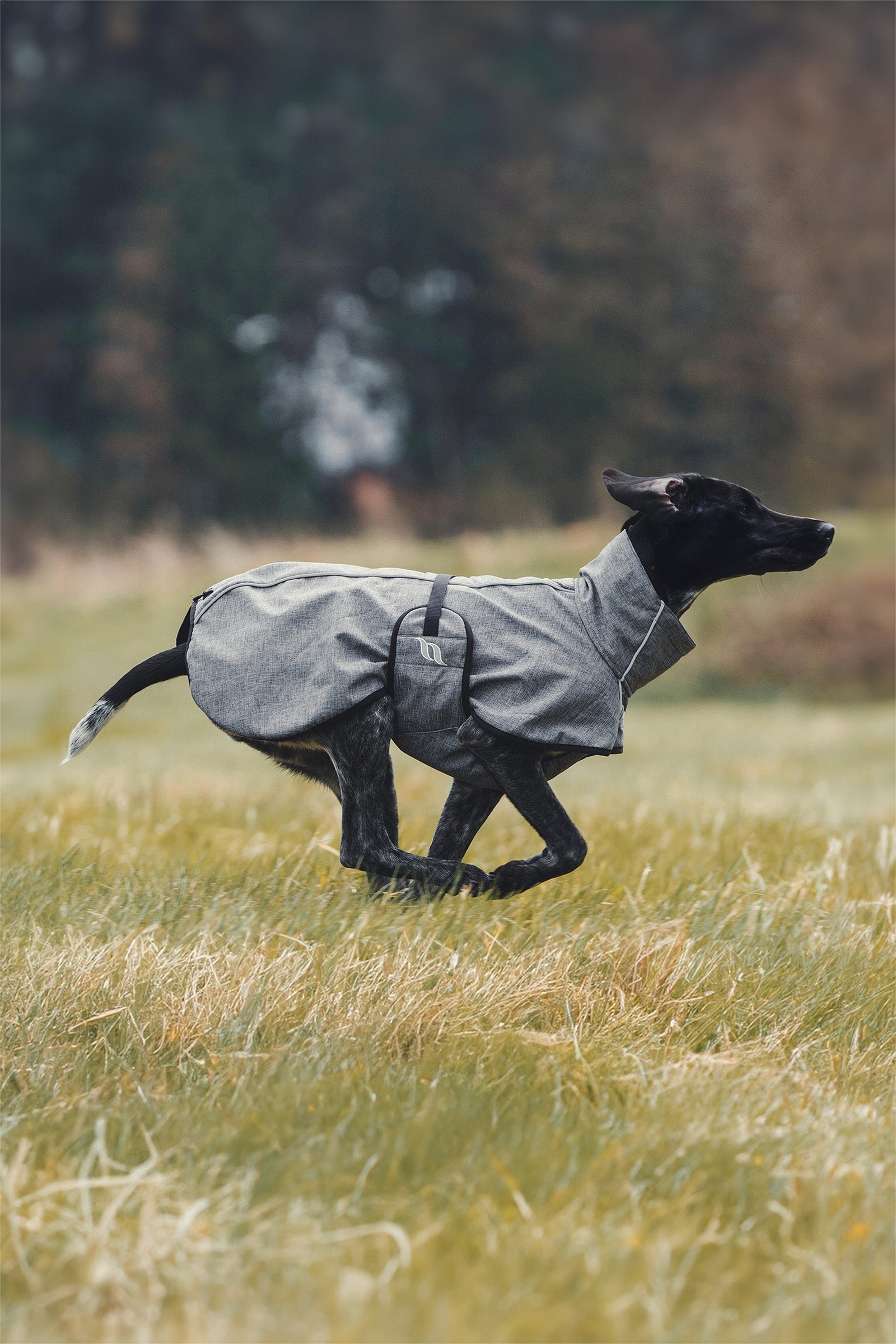 Back on Track Bark All-Round Dog Coat, 70-80cm Dog Accesories