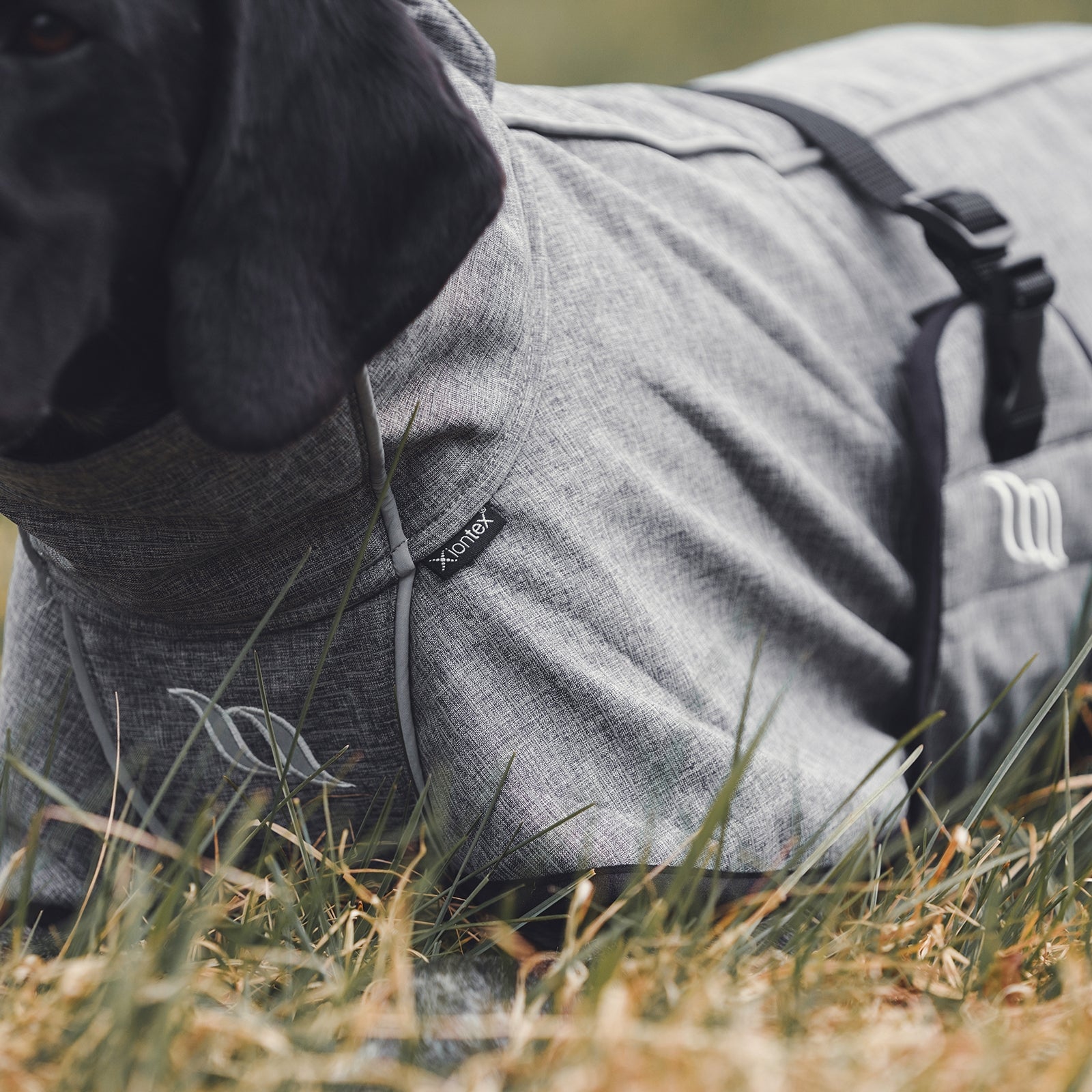 Back on Track Bark All-Round Dog Coat, 85-90cm Dog Accesories