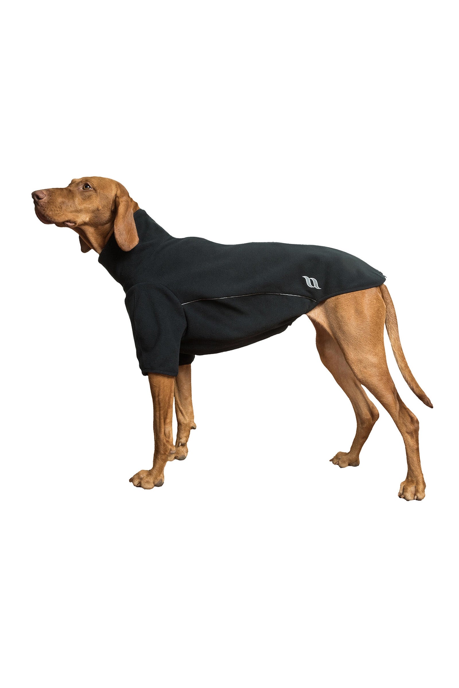 Back on Track Cassie All-Weather Jumper, 65-70cm Dog Accesories