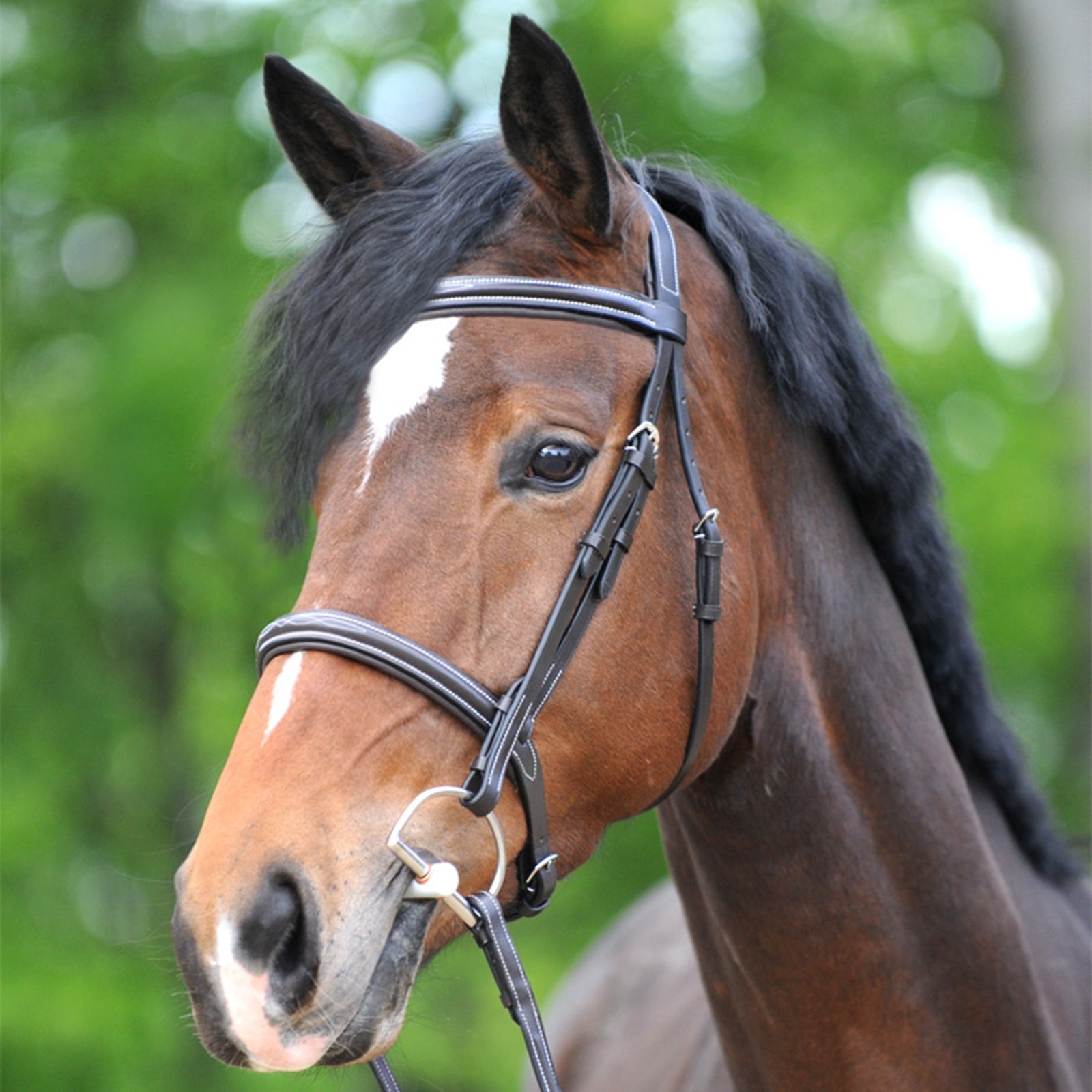Kavalkade Akila Hunter Bridle Bridles & Reins