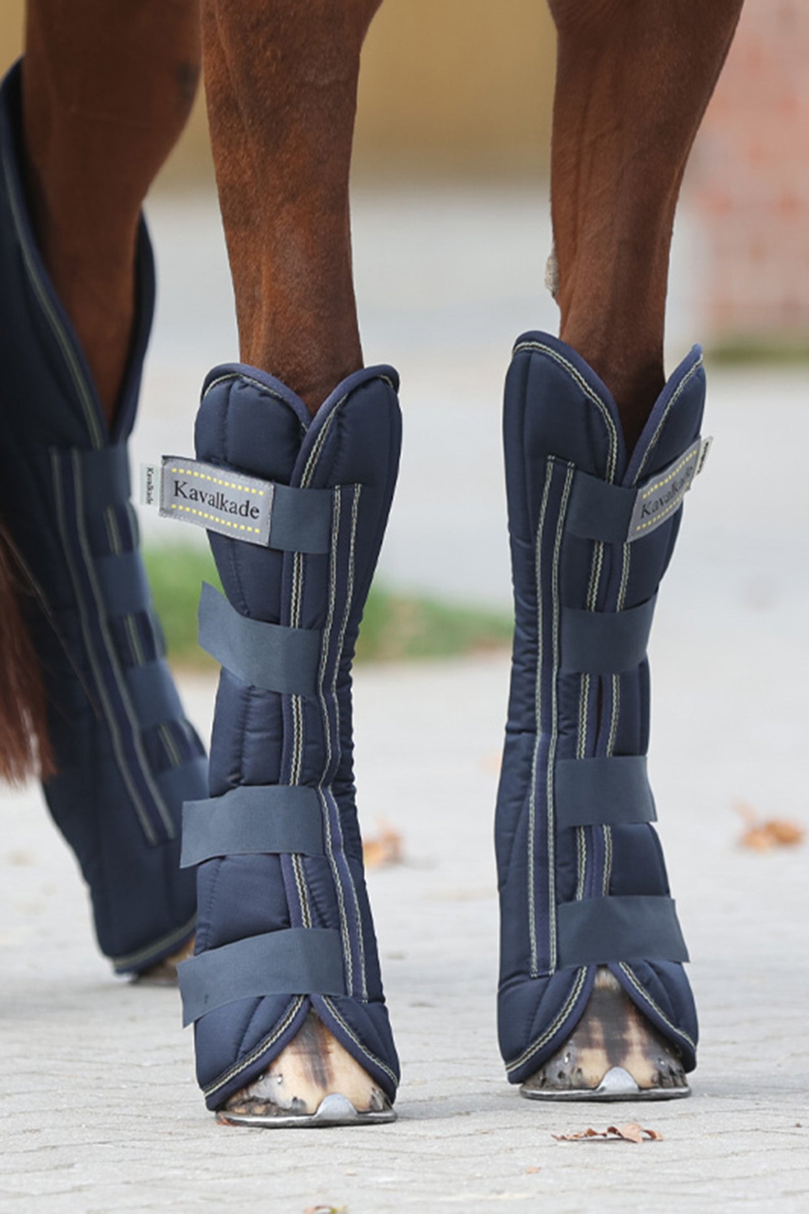 Kavalkade Montreal kuljetussuojat (4 kpl setti) Leg & Hoof Protection