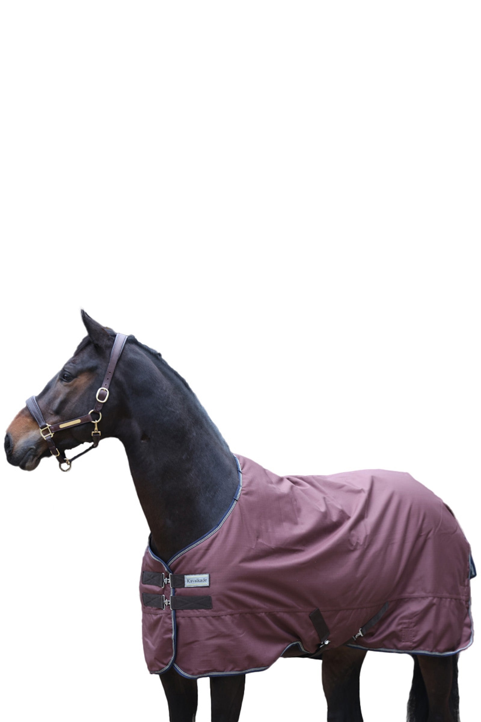 Kavalkade Montreal Turnout Rug, 0g Horse Rugs