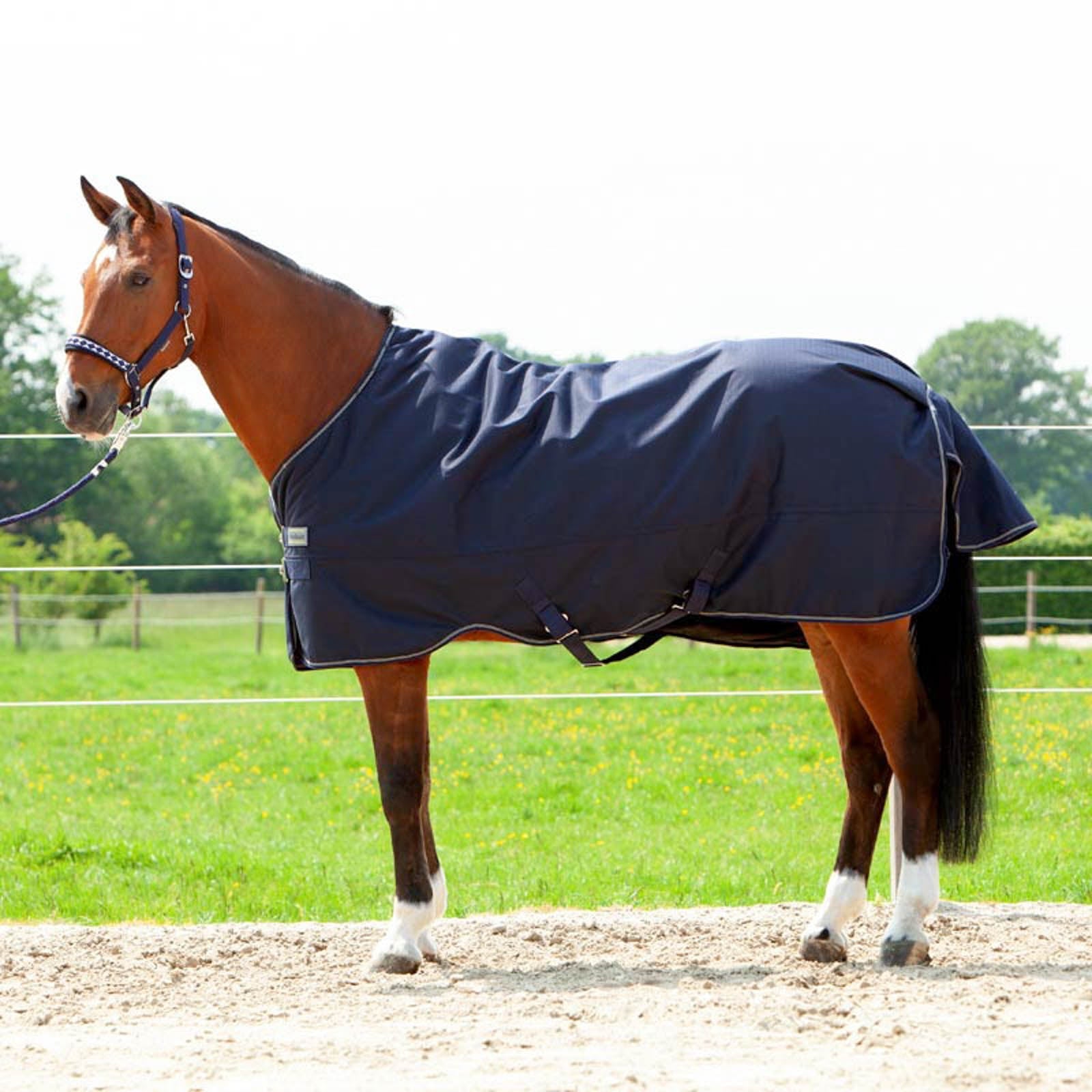 Kavalkade Montreal Turnout Rug, 100g Horse Rugs