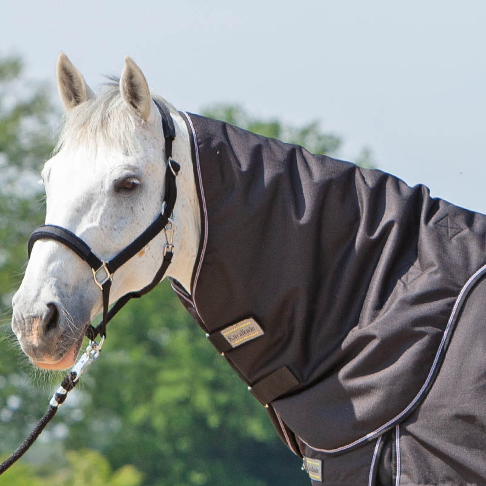 Kavalkade kaulakappale Alaska IV loimeen, 100 g Loimet