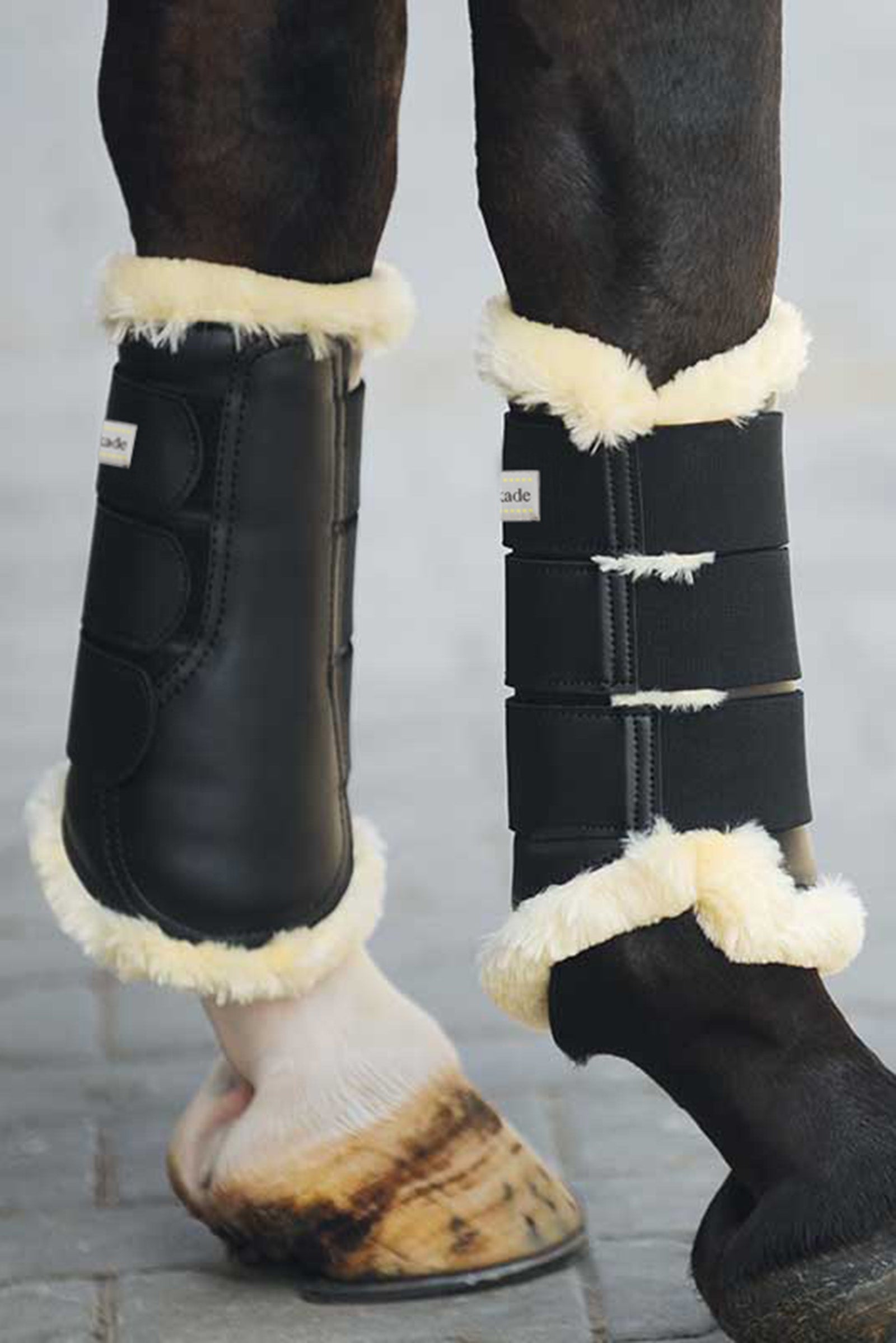 Kavalkade Show hivutussuojat Leg Protection & Hoof Protection for Horses