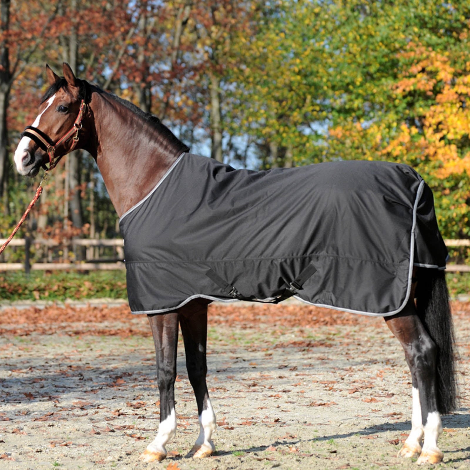 Kavalkade Winnipeg Turnout Rug, 50g Horse Rugs